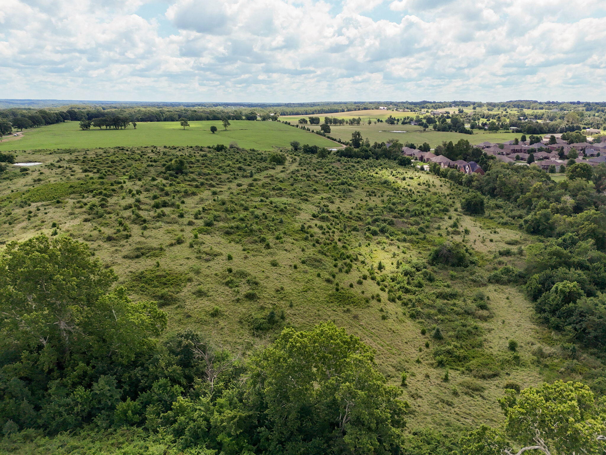 Photo 11 - Land for sale – Tract 5  Hawkins Court  Ozark, MO