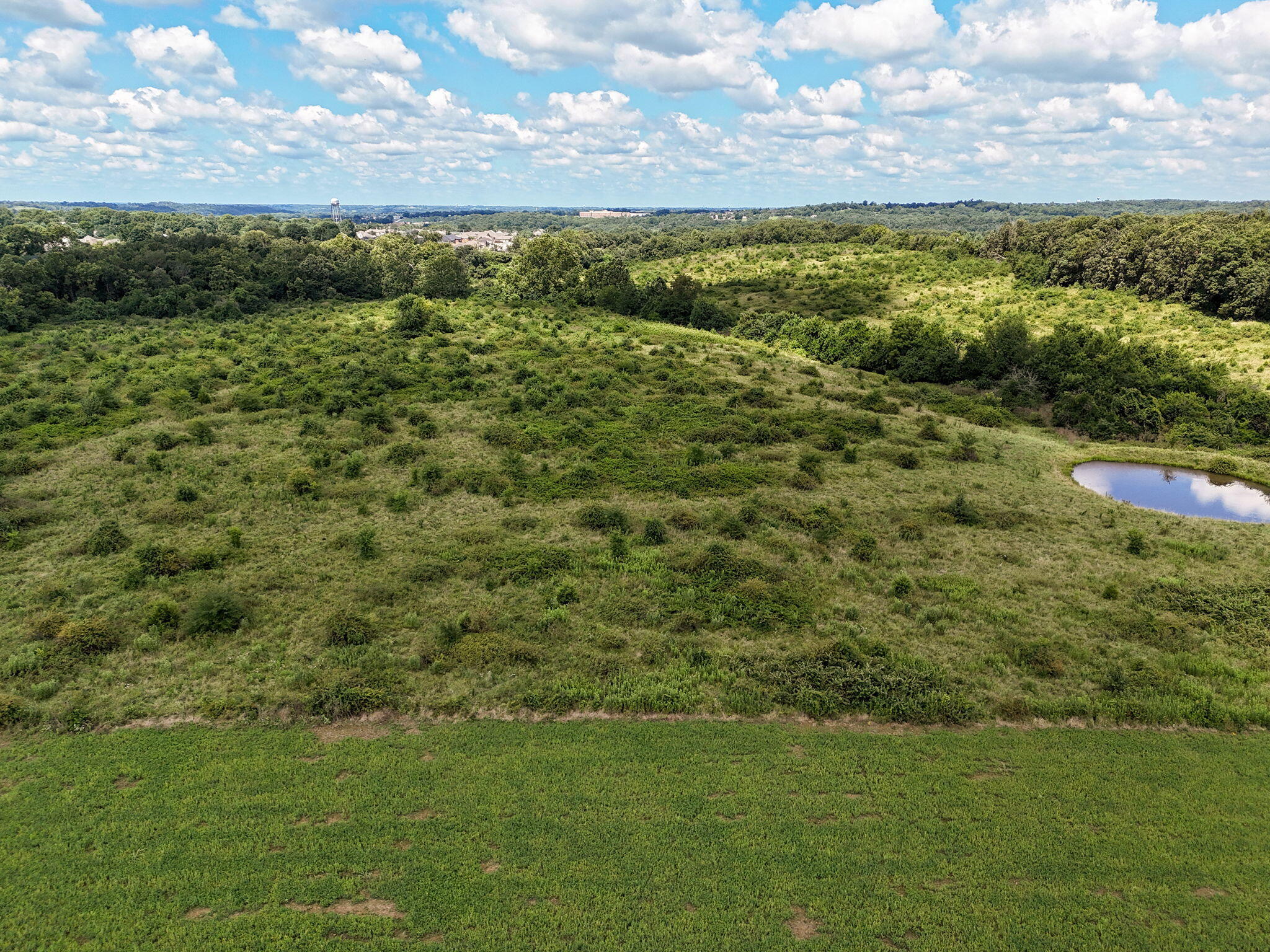 Photo 4 - Land for sale – Tract 5  Hawkins Court  Ozark, MO