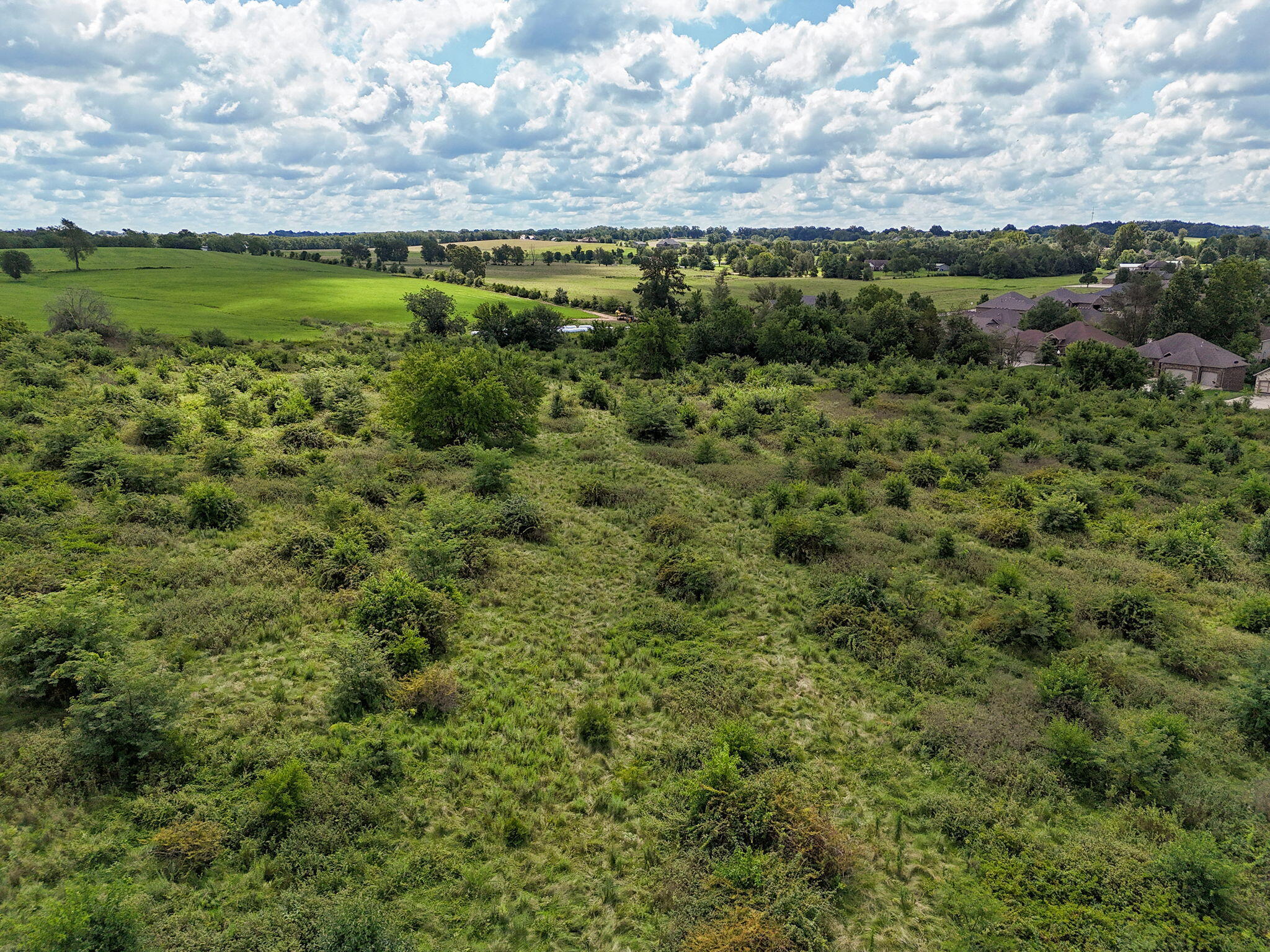 Photo 9 - Land for sale – Tract 5  Hawkins Court  Ozark, MO