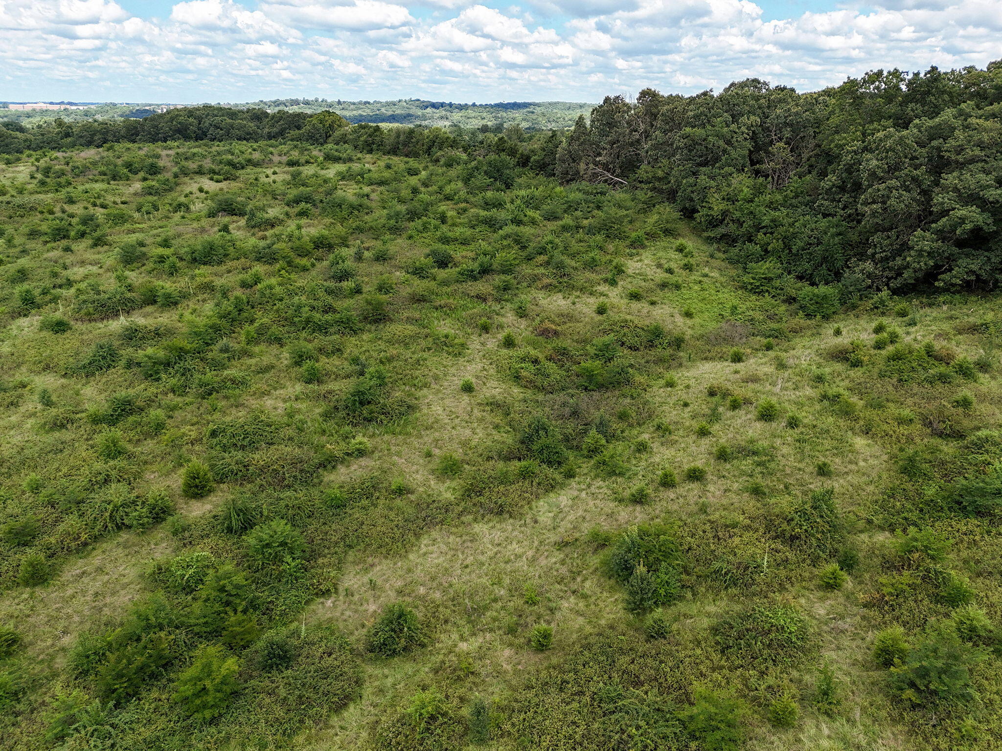 Photo 7 - Land for sale – Tract 4 E Country Crest Road  Ozark, MO