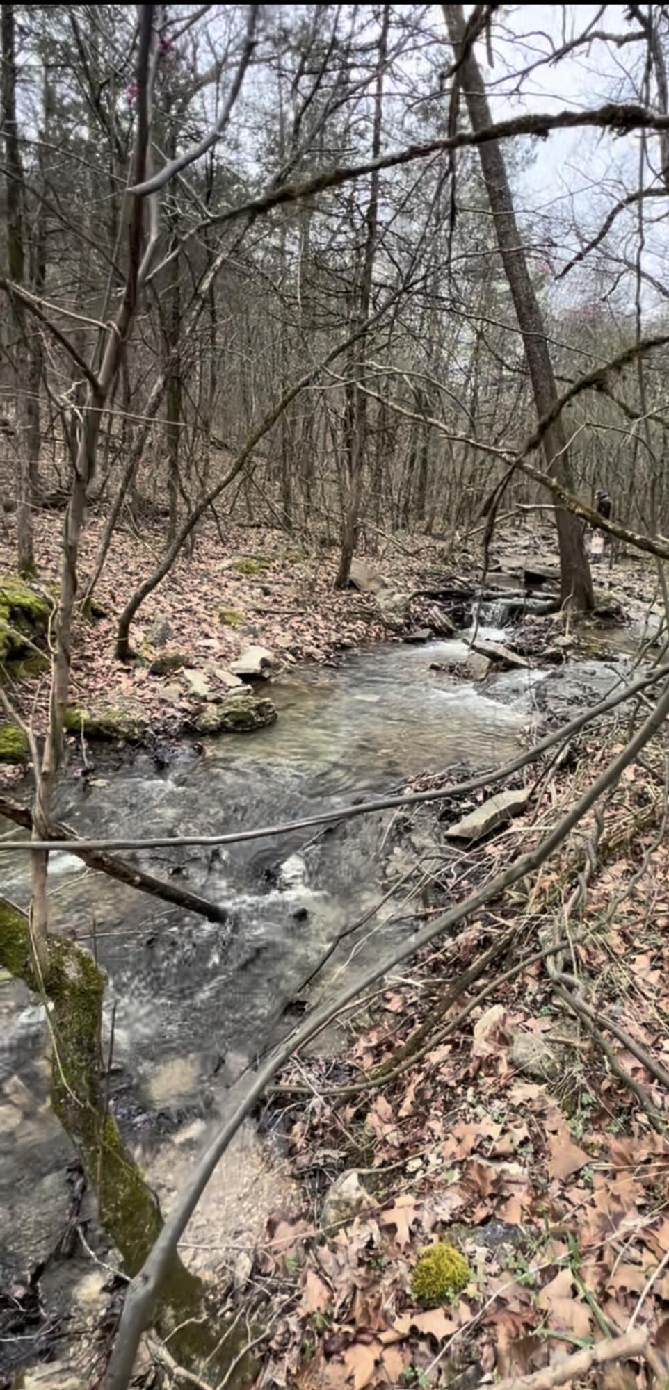 Photo 10 - Land for sale – Lot 1  Woodland Lake Drive  Shell Knob, MO