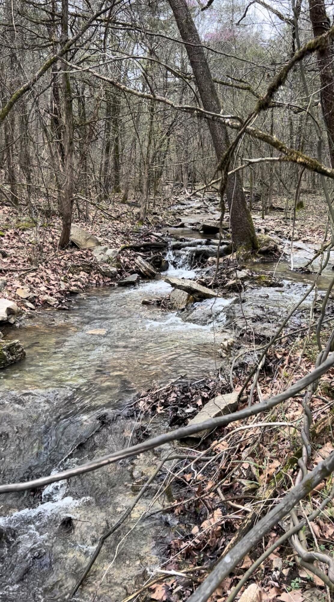 Land for sale – Lot 1 Woodland Lake Drive Shell Knob, MO