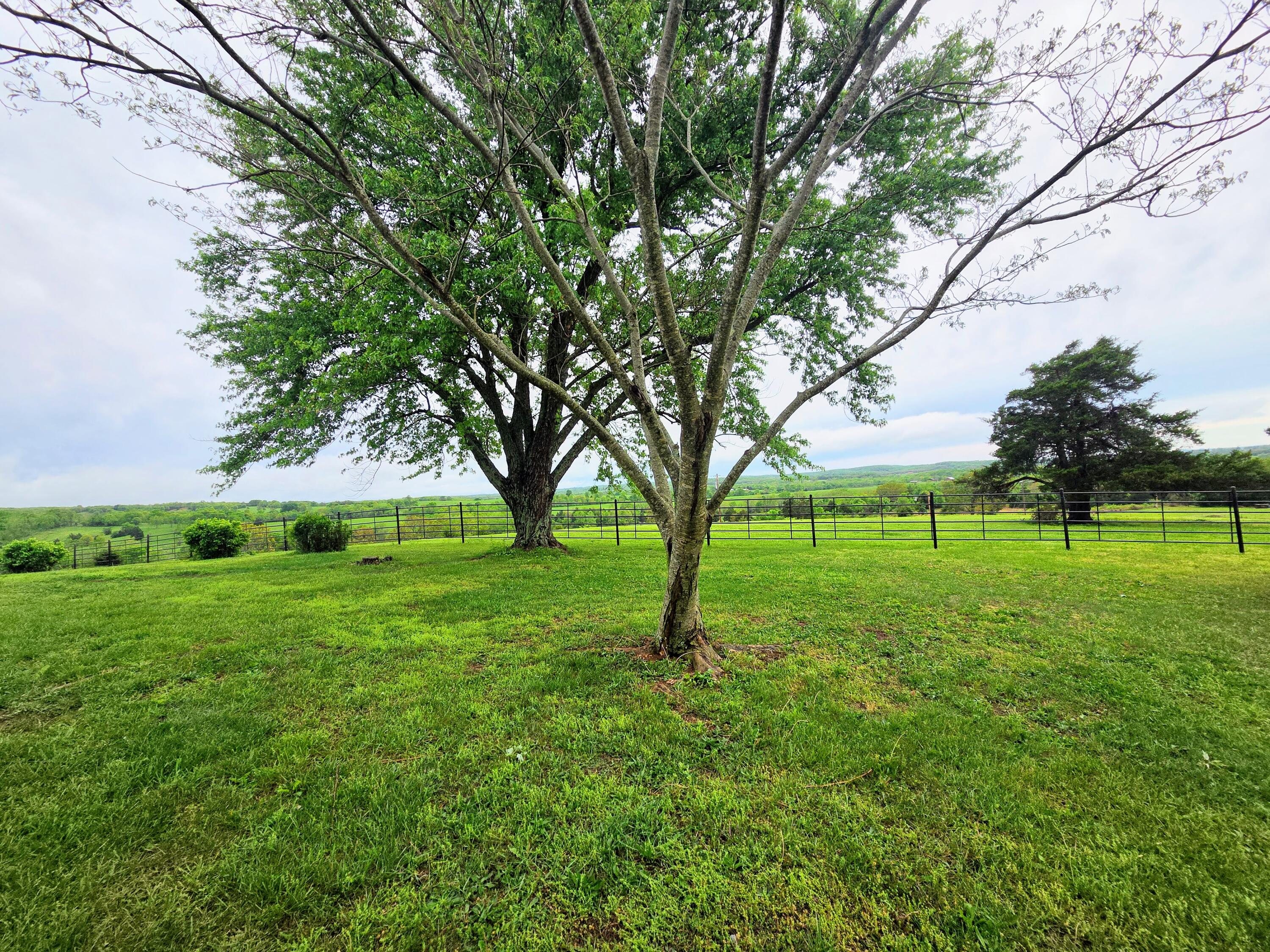 Photo 10 - Farm for sale – 16641  New Hope Drive  Elk Creek, MO