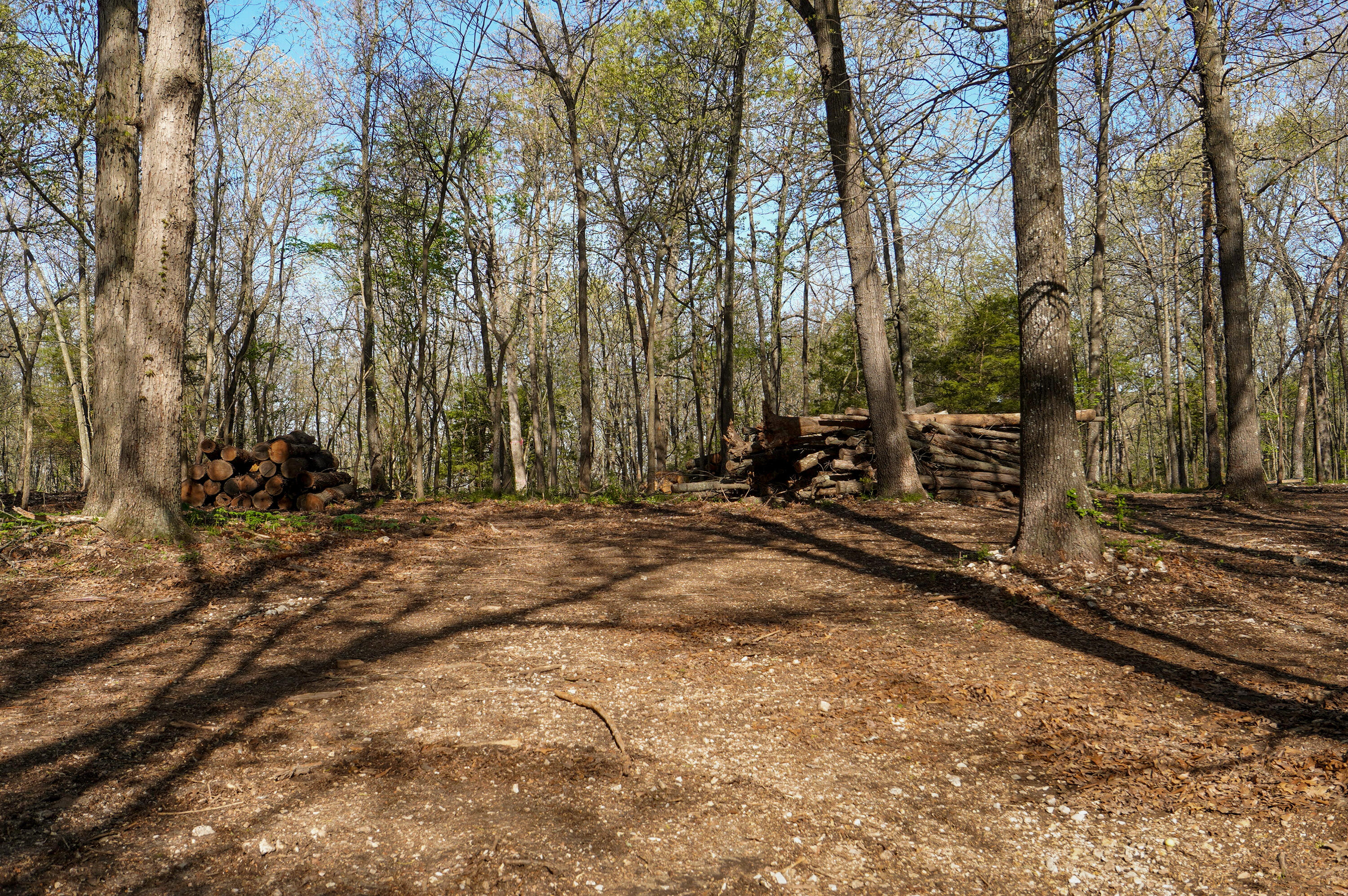Photo 8 - Land for sale – Tract 3 W Farm Road 36   Willard, MO