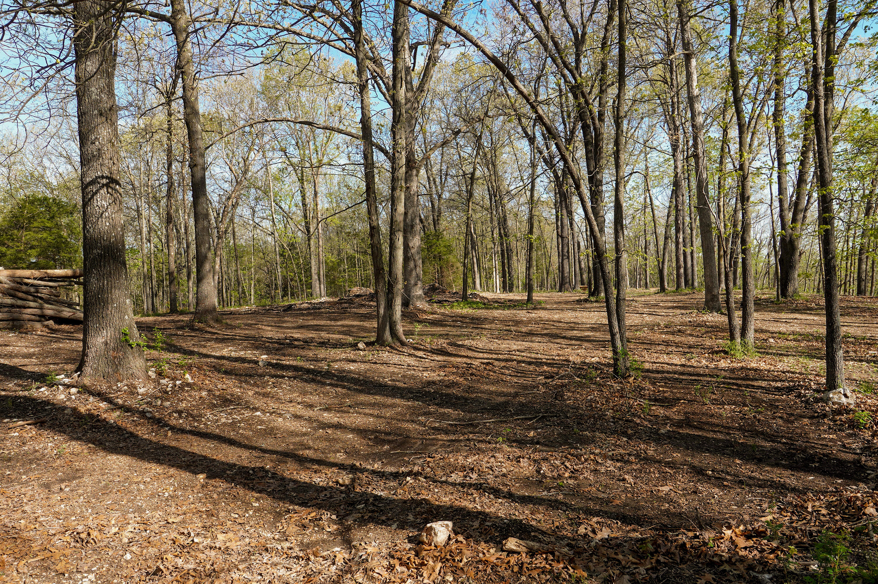 Photo 10 - Land for sale – Tract 3 W Farm Road 36   Willard, MO