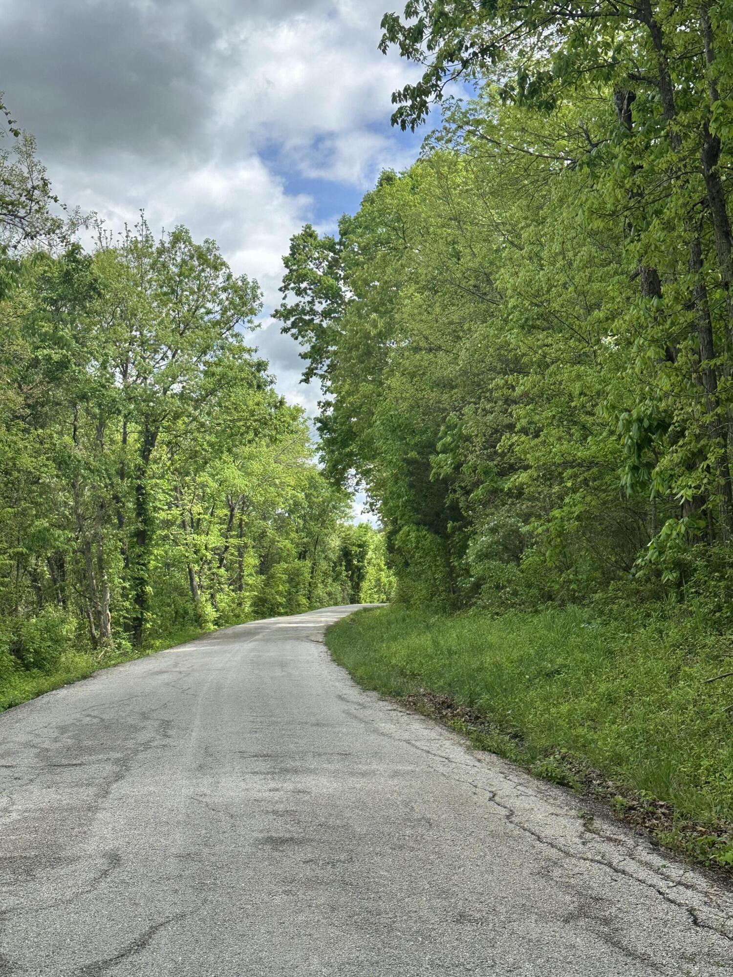 Photo 4 - Land for sale – Tract 3 W Farm Road 36   Willard, MO