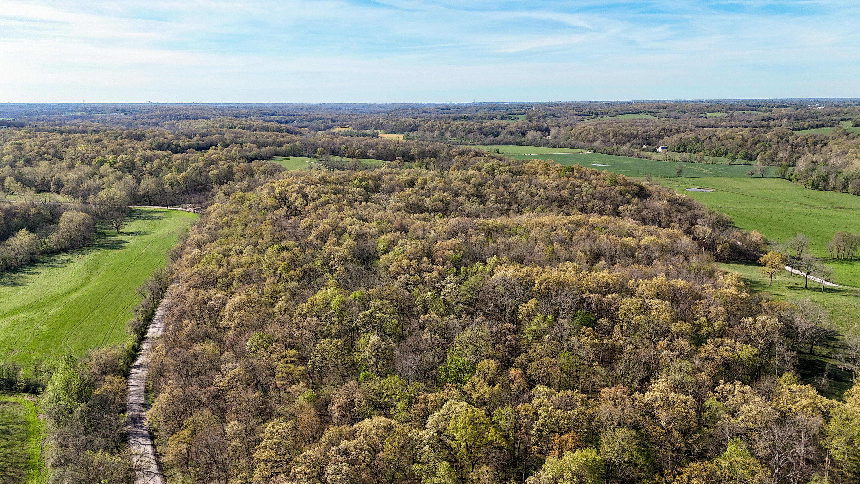 Photo 25 - Land for sale – Tract 3 W Farm Road 36   Willard, MO