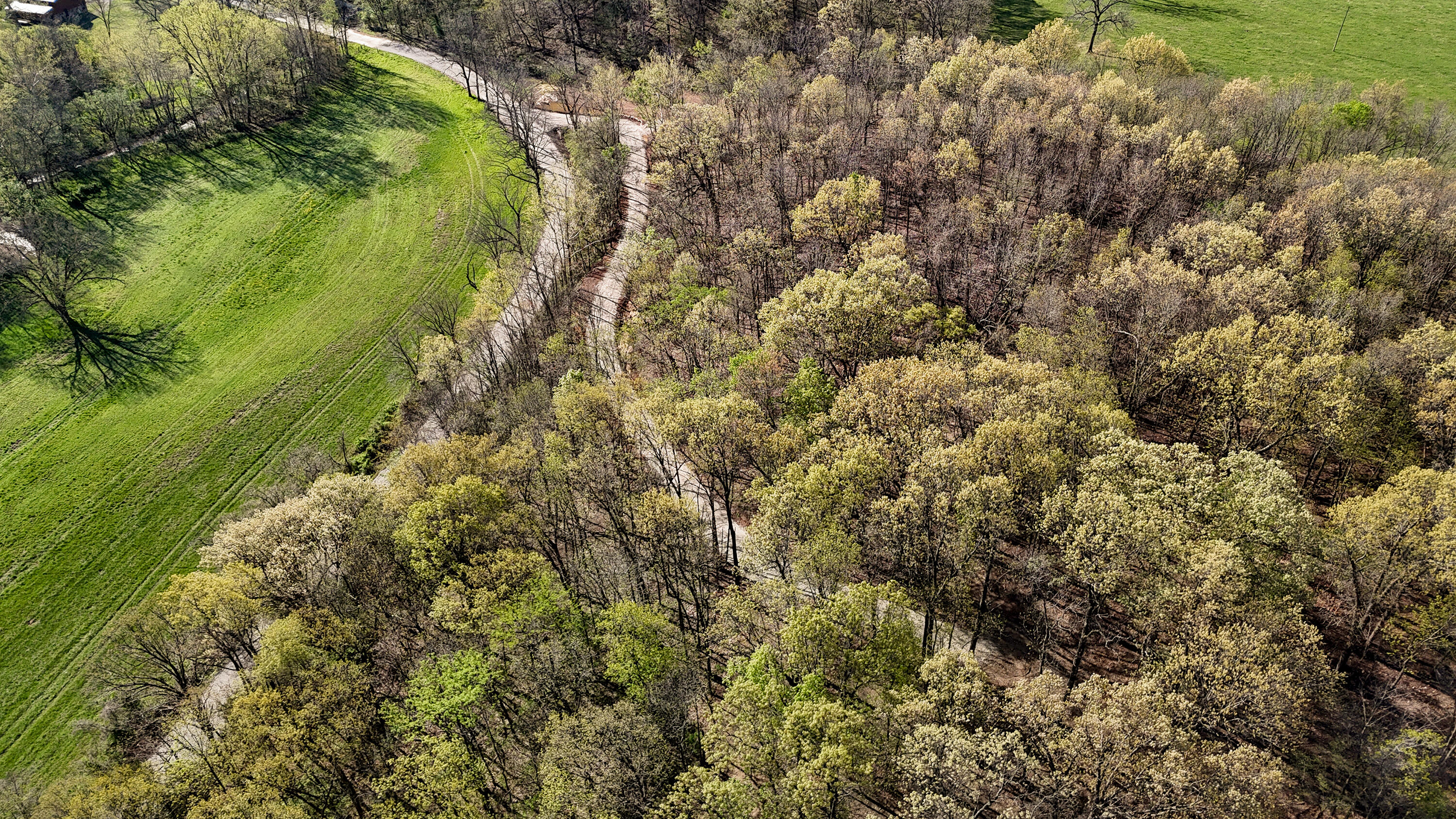 Photo 29 - Land for sale – Tract 3 W Farm Road 36   Willard, MO
