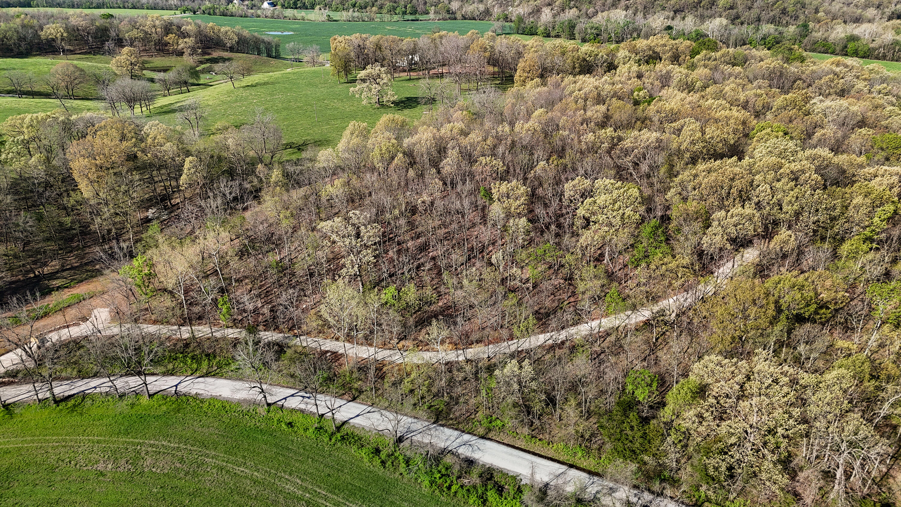 Photo 28 - Land for sale – Tract 3 W Farm Road 36   Willard, MO