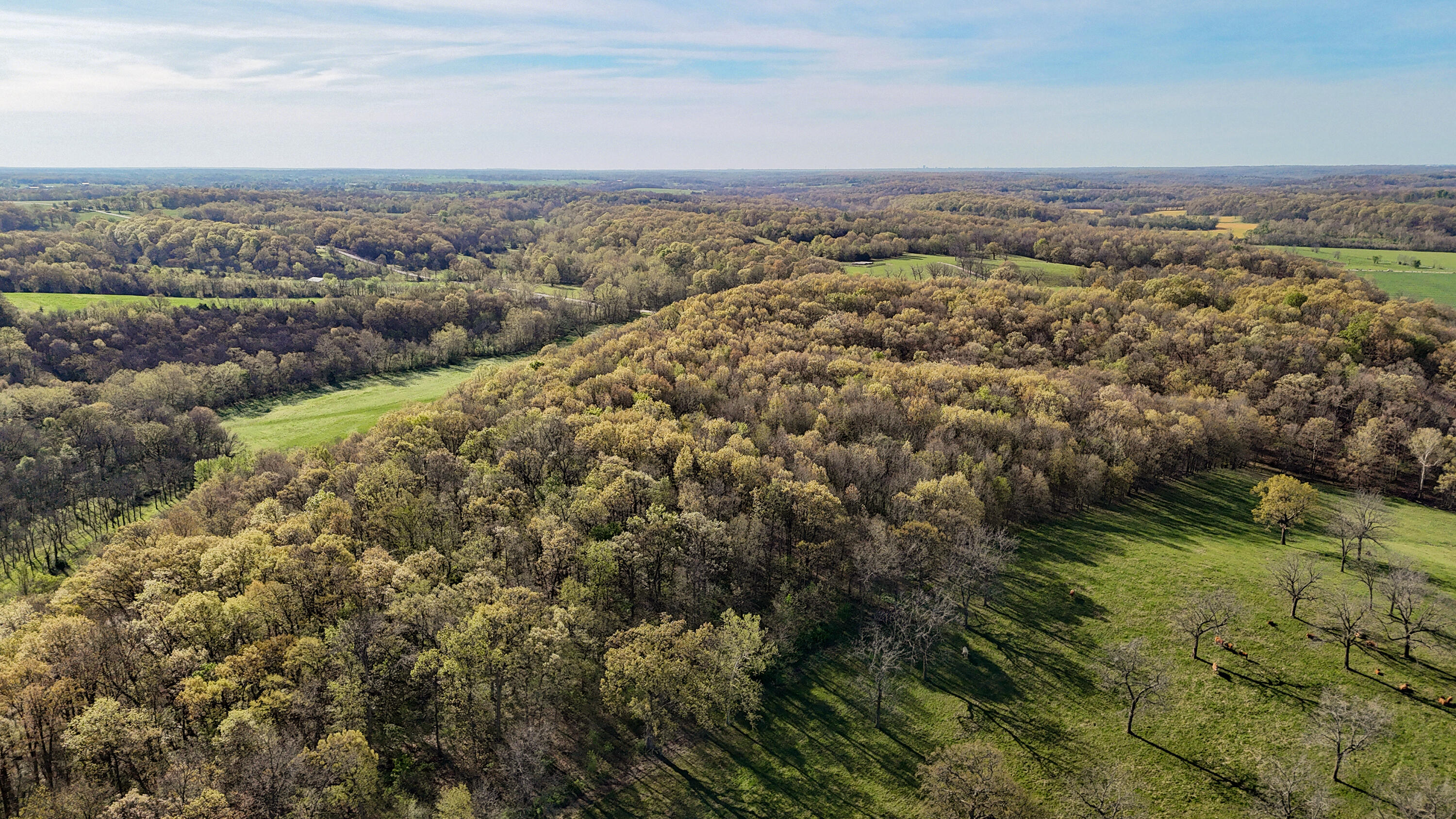 Photo 28 - Land for sale – Tract 2 W Farm Road 36   Willard, MO