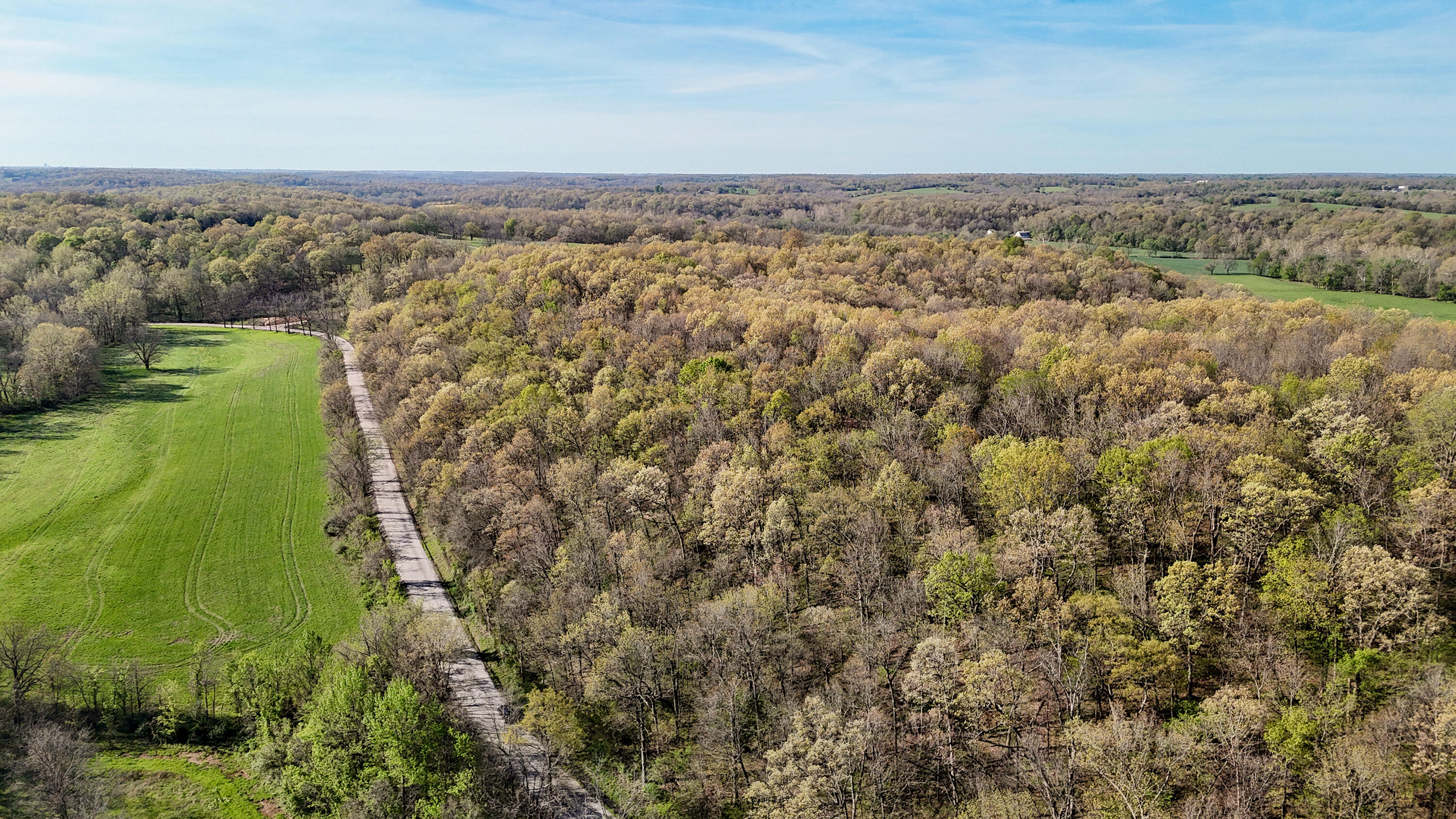 Photo 26 - Land for sale – Tract 2 W Farm Road 36   Willard, MO