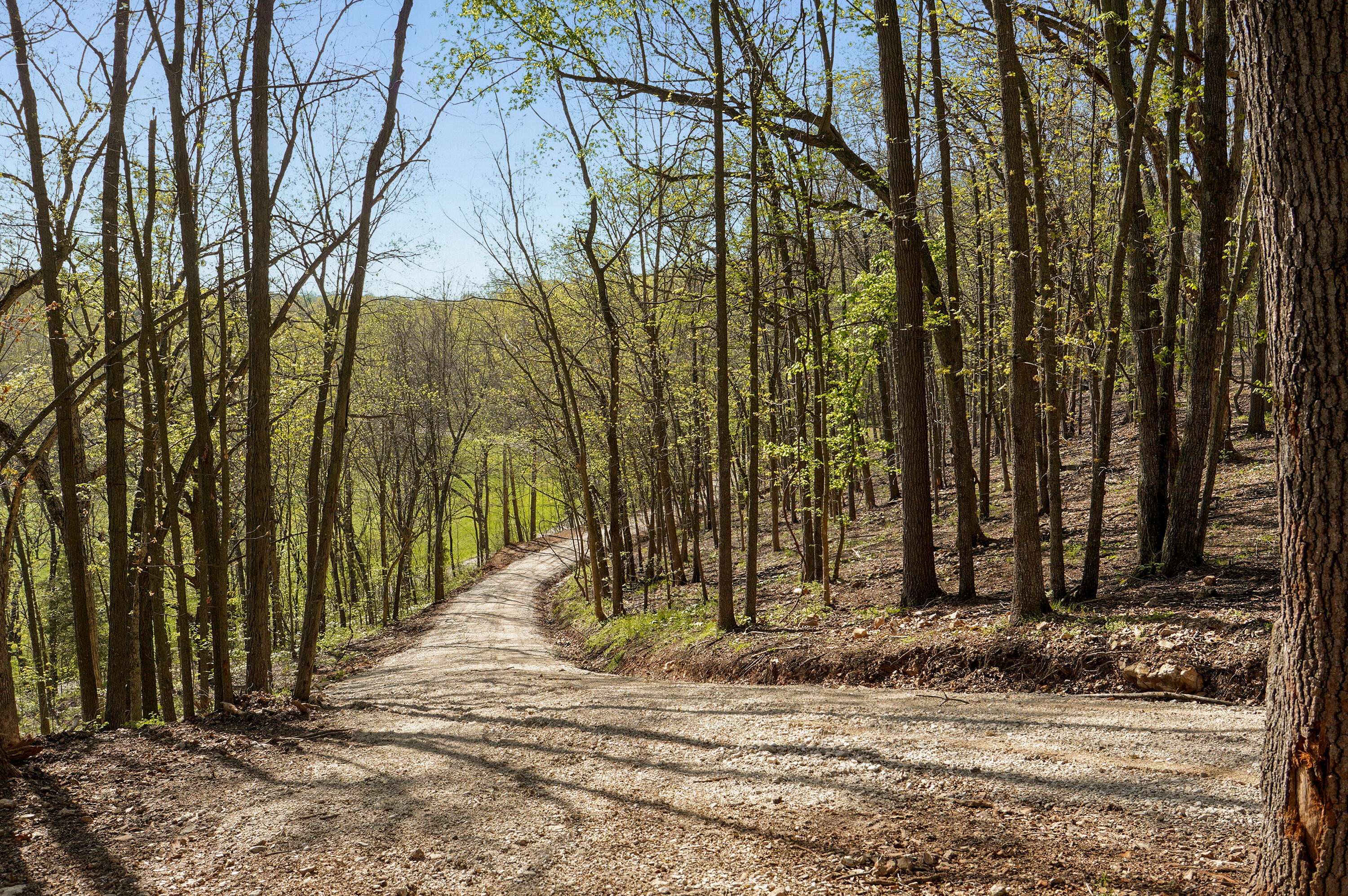 Photo 23 - Land for sale – Tract 2 W Farm Road 36   Willard, MO