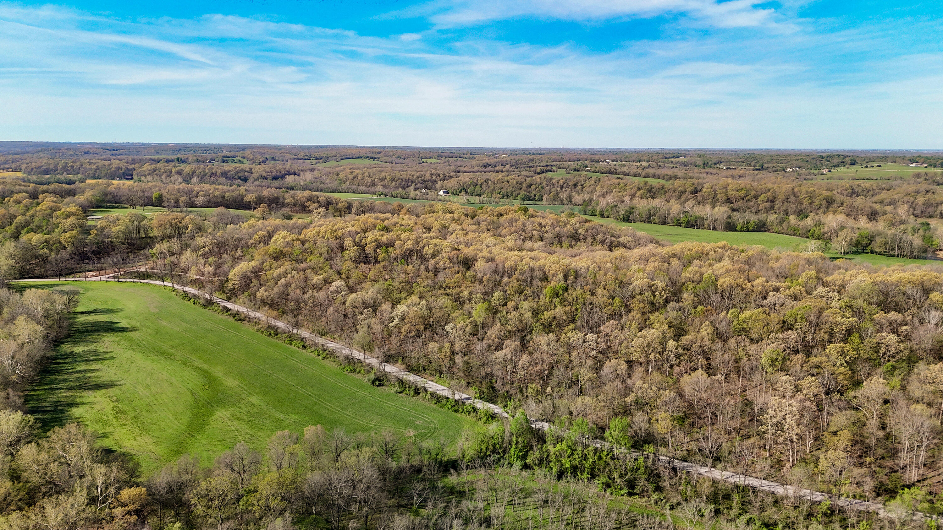 Photo 32 - Land for sale – Tract 2 W Farm Road 36   Willard, MO
