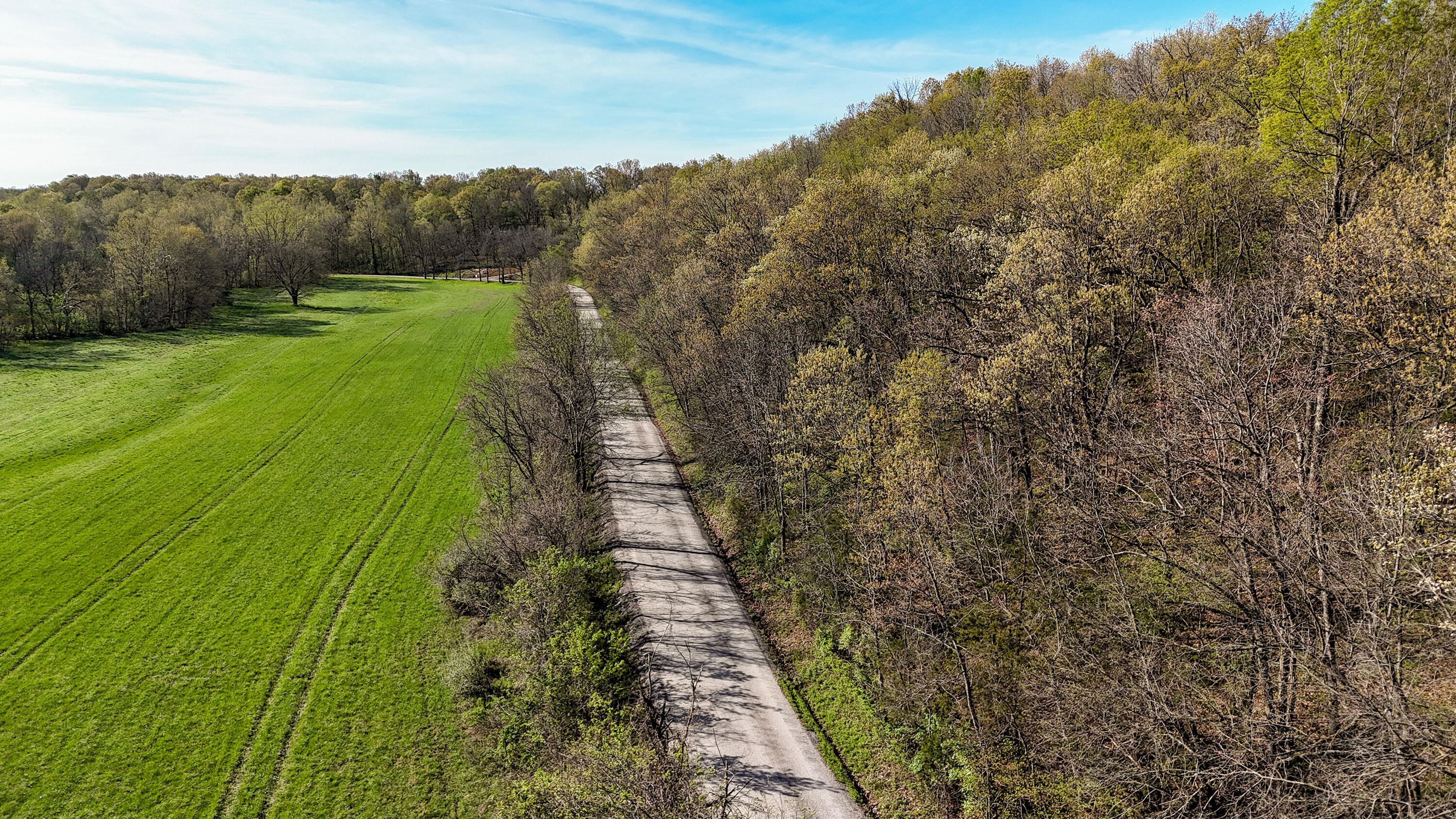 Photo 24 - Land for sale – Tract 2 W Farm Road 36   Willard, MO