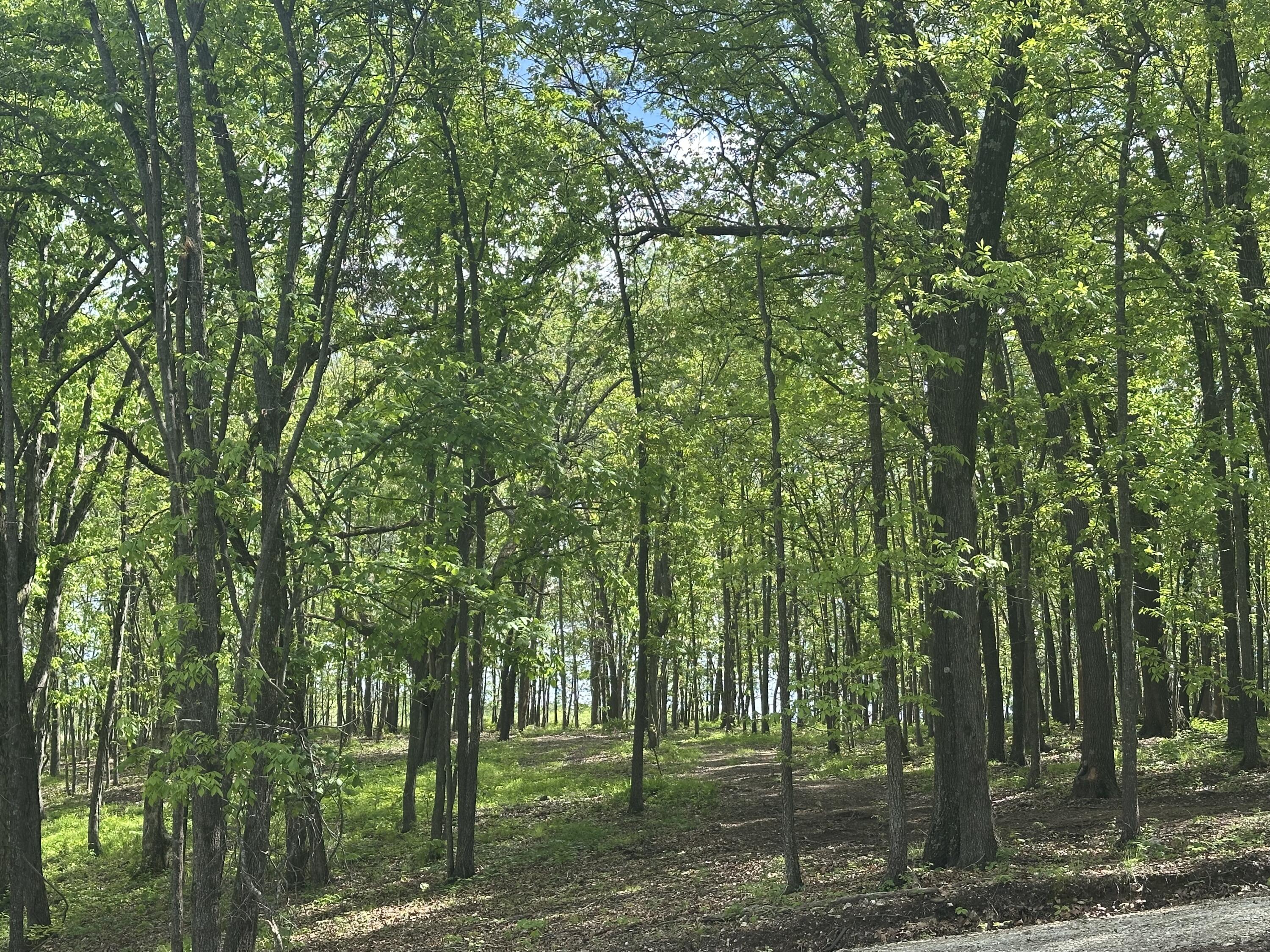 Land for sale – Tract 2 W Farm Road 36   Willard, MO