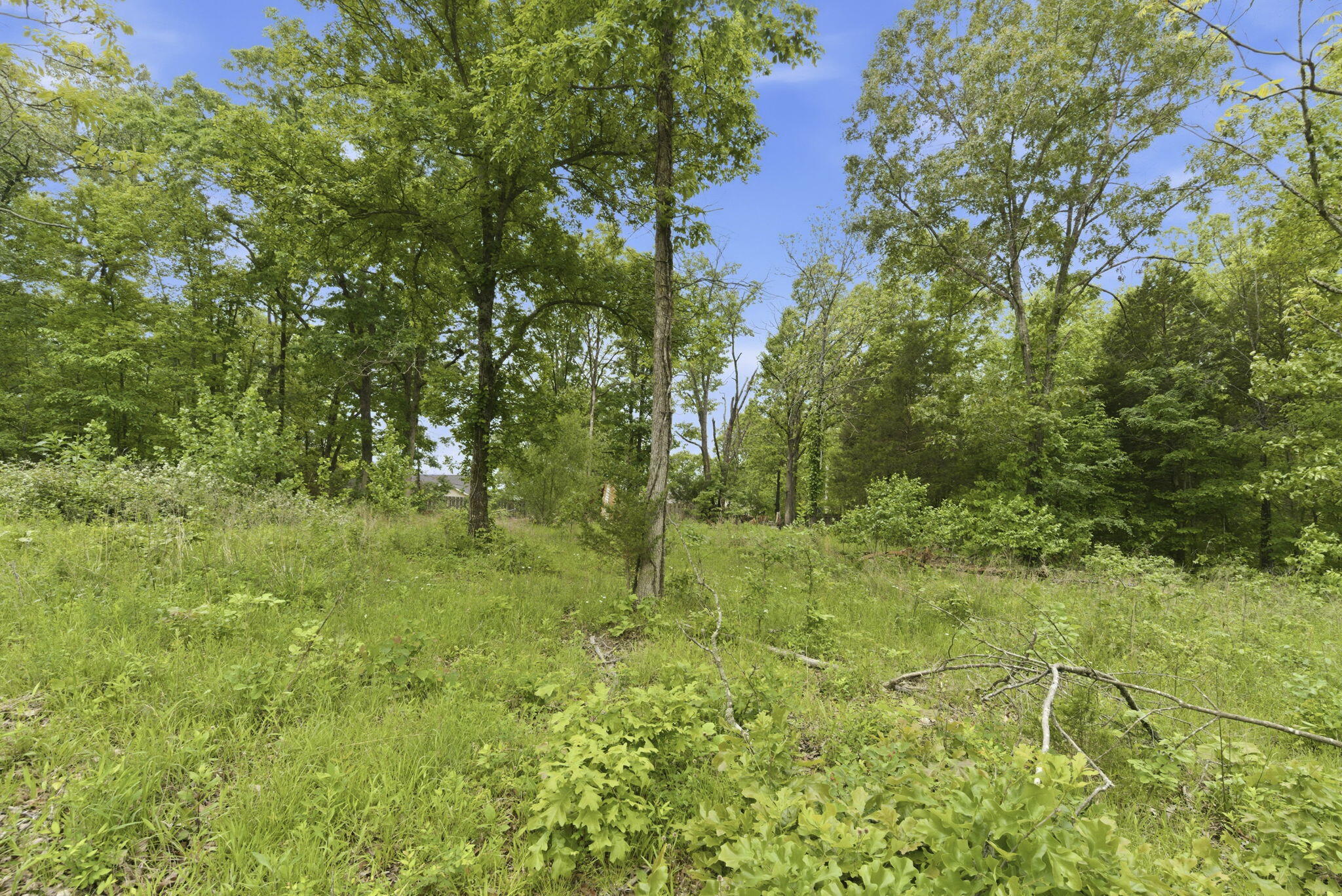 Photo 8 - Land for sale – 000  Tate Road  Ridgedale, MO