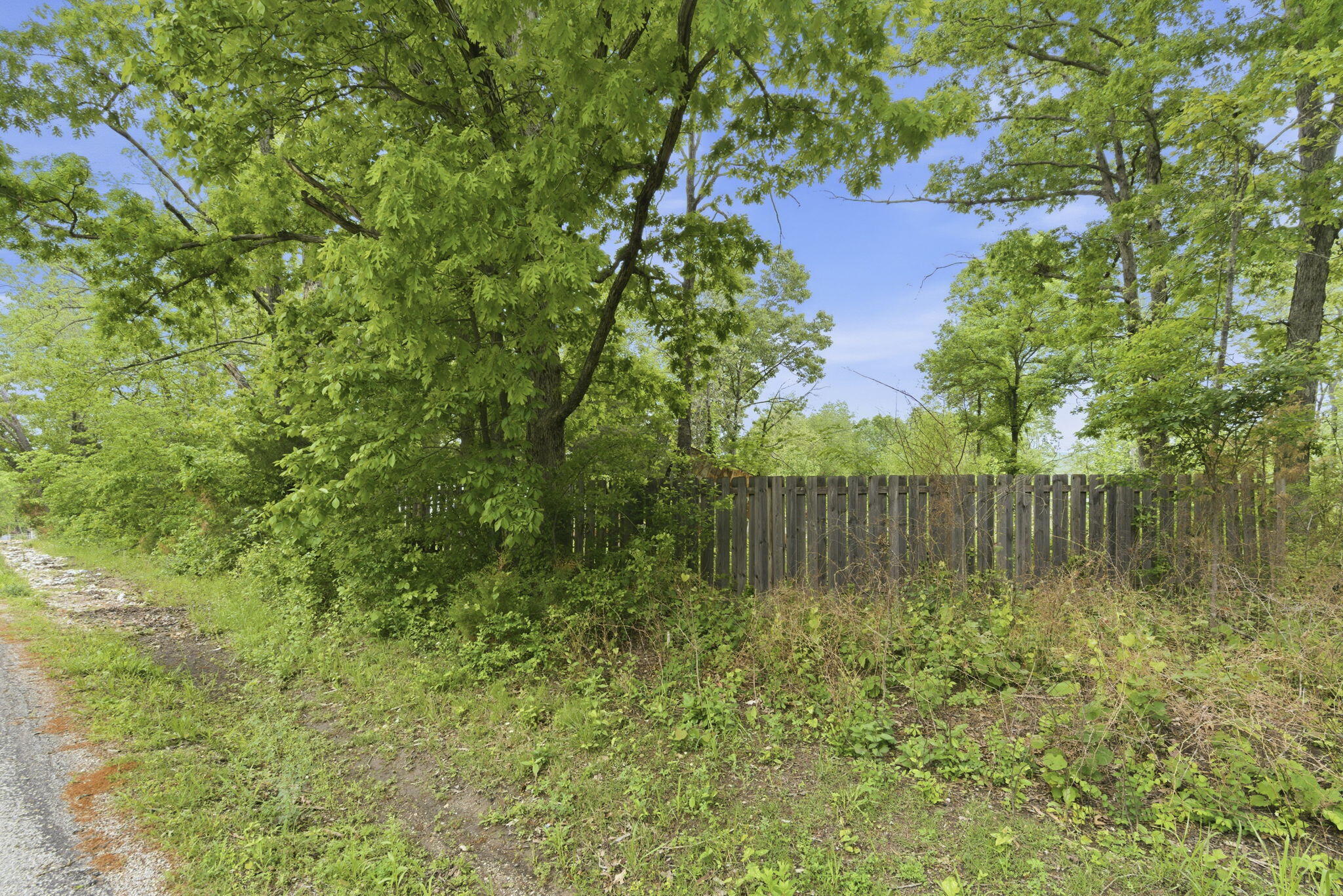 Photo 2 - Land for sale – 000  Tate Road  Ridgedale, MO