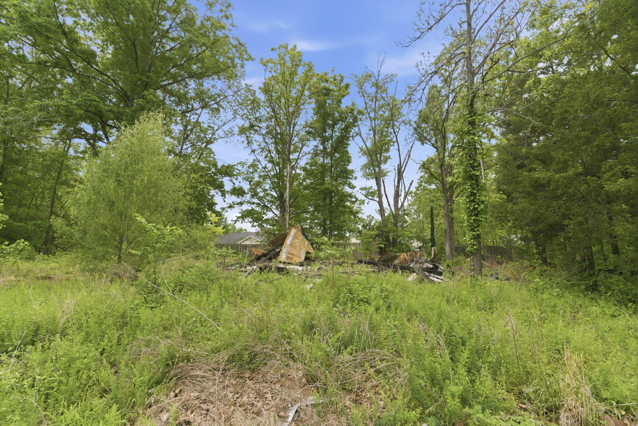Photo 7 - Land for sale – 000  Tate Road  Ridgedale, MO