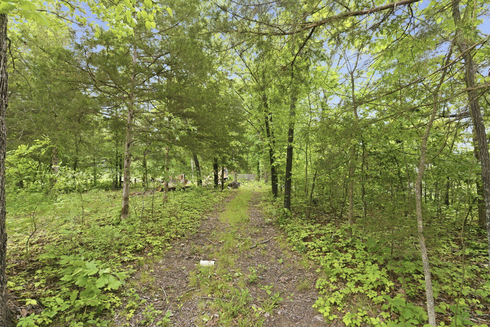 Photo 6 - Land for sale – 000  Tate Road  Ridgedale, MO