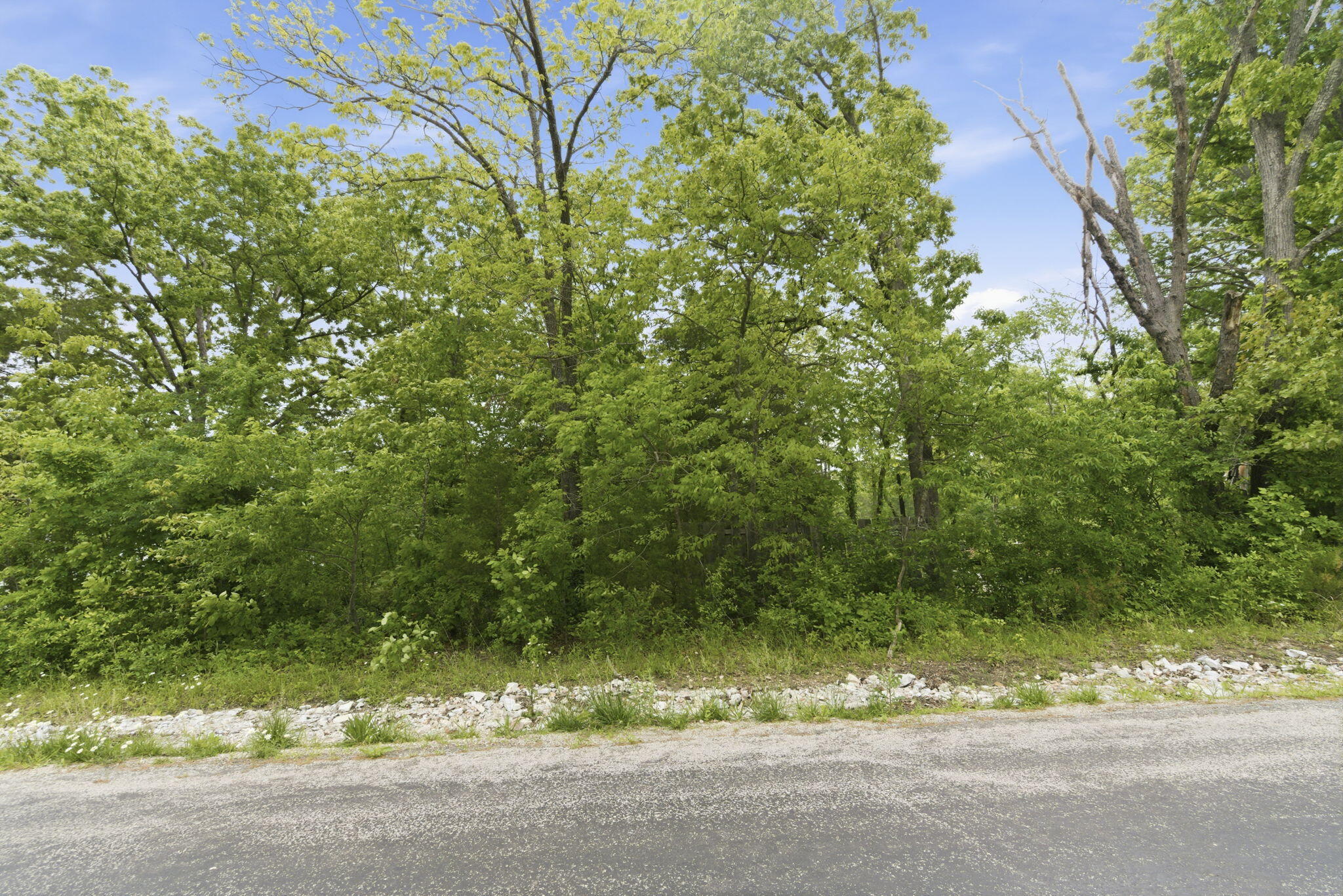 Photo 5 - Land for sale – 000  Tate Road  Ridgedale, MO