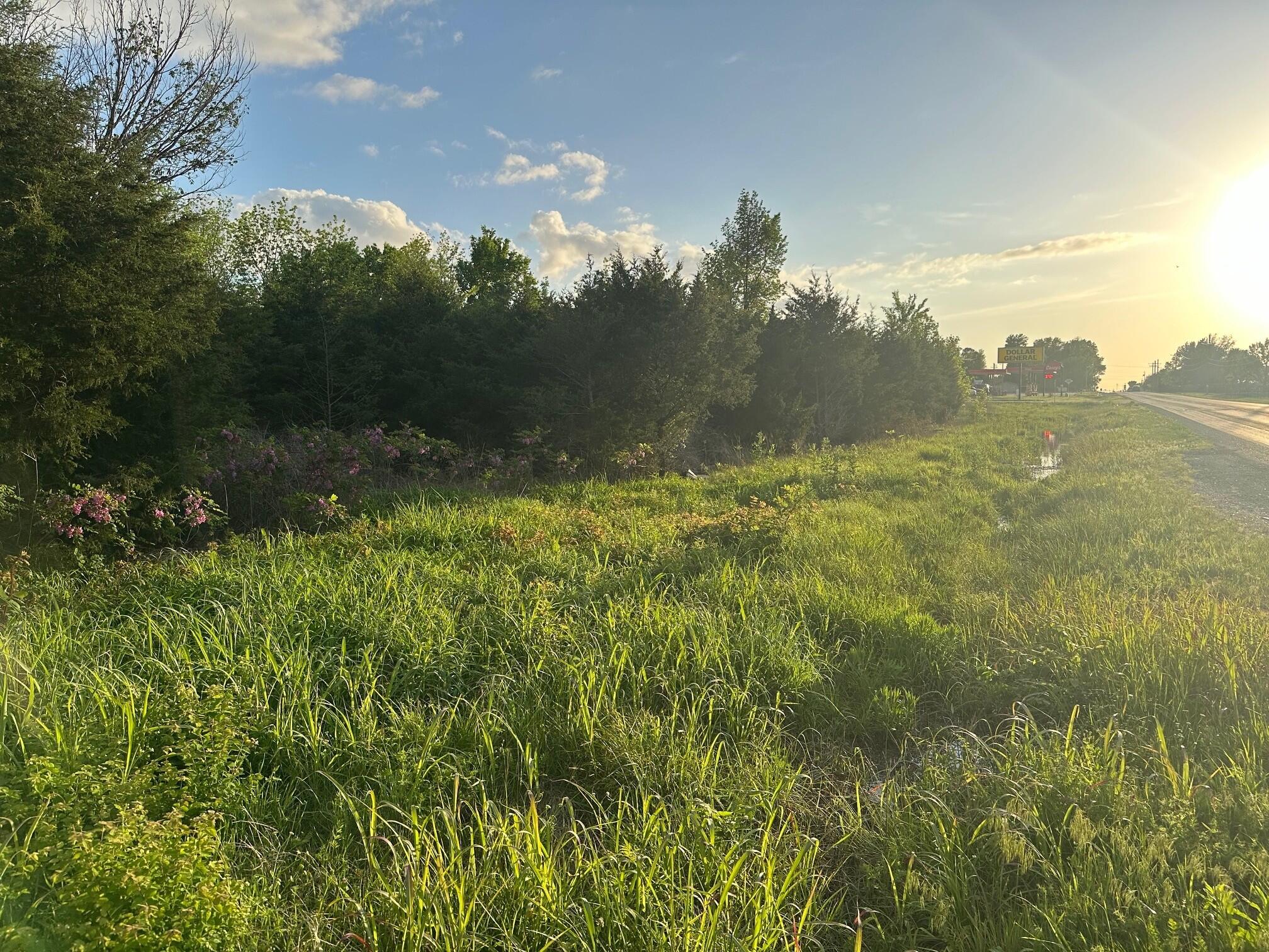 Land for sale – 000 E 7th Street  Duenweg, MO