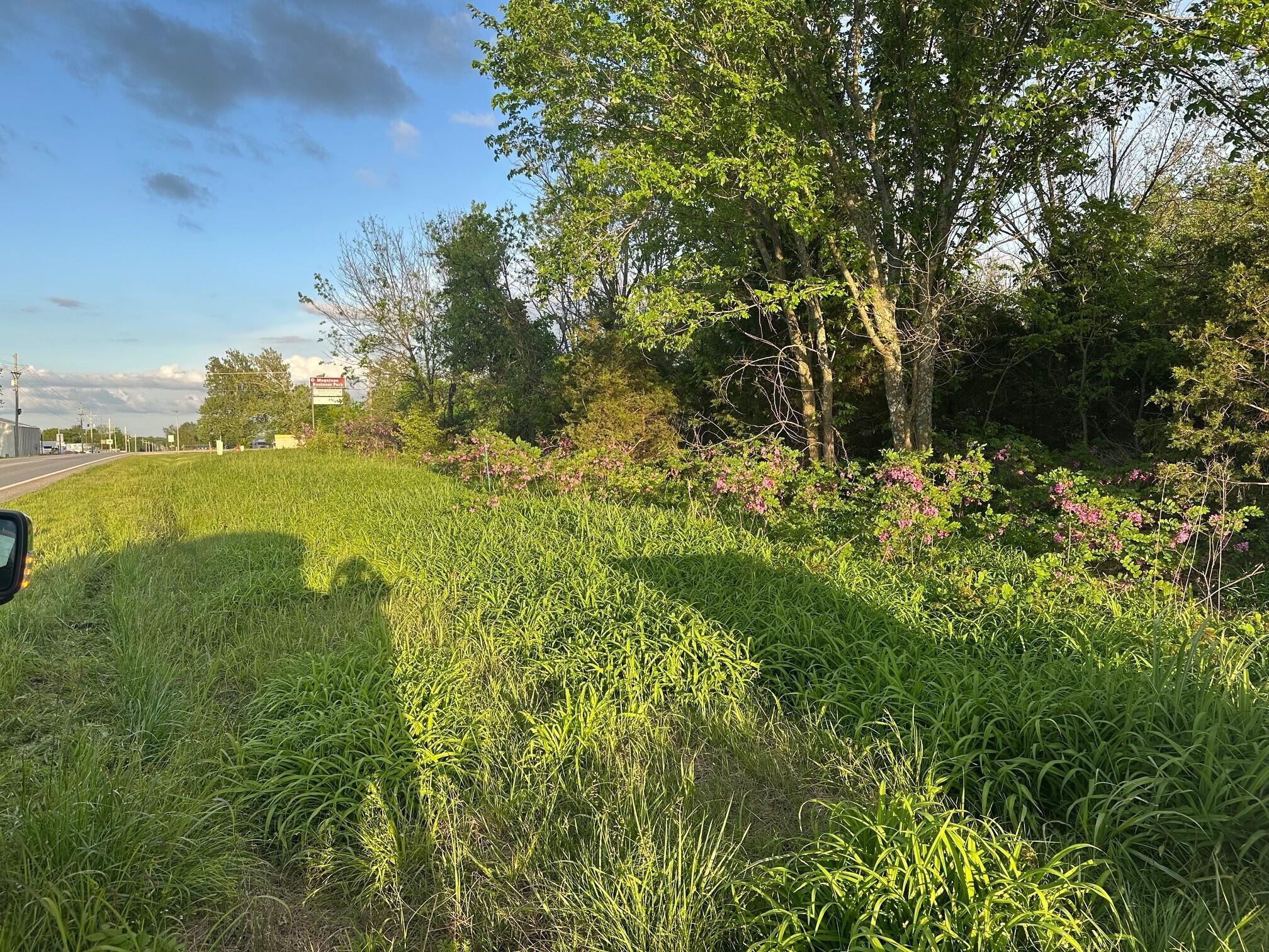 Photo 3 - Land for sale – 000 E 7th Street  Duenweg, MO