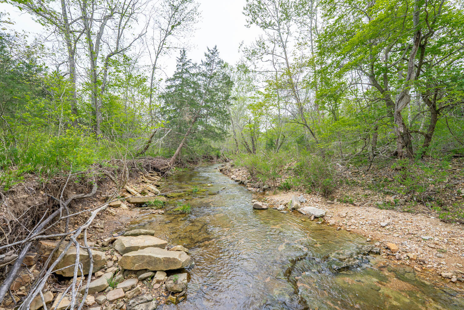 Photo 18 - Land for sale – 000  Crooked Creek Road  Hartville, MO