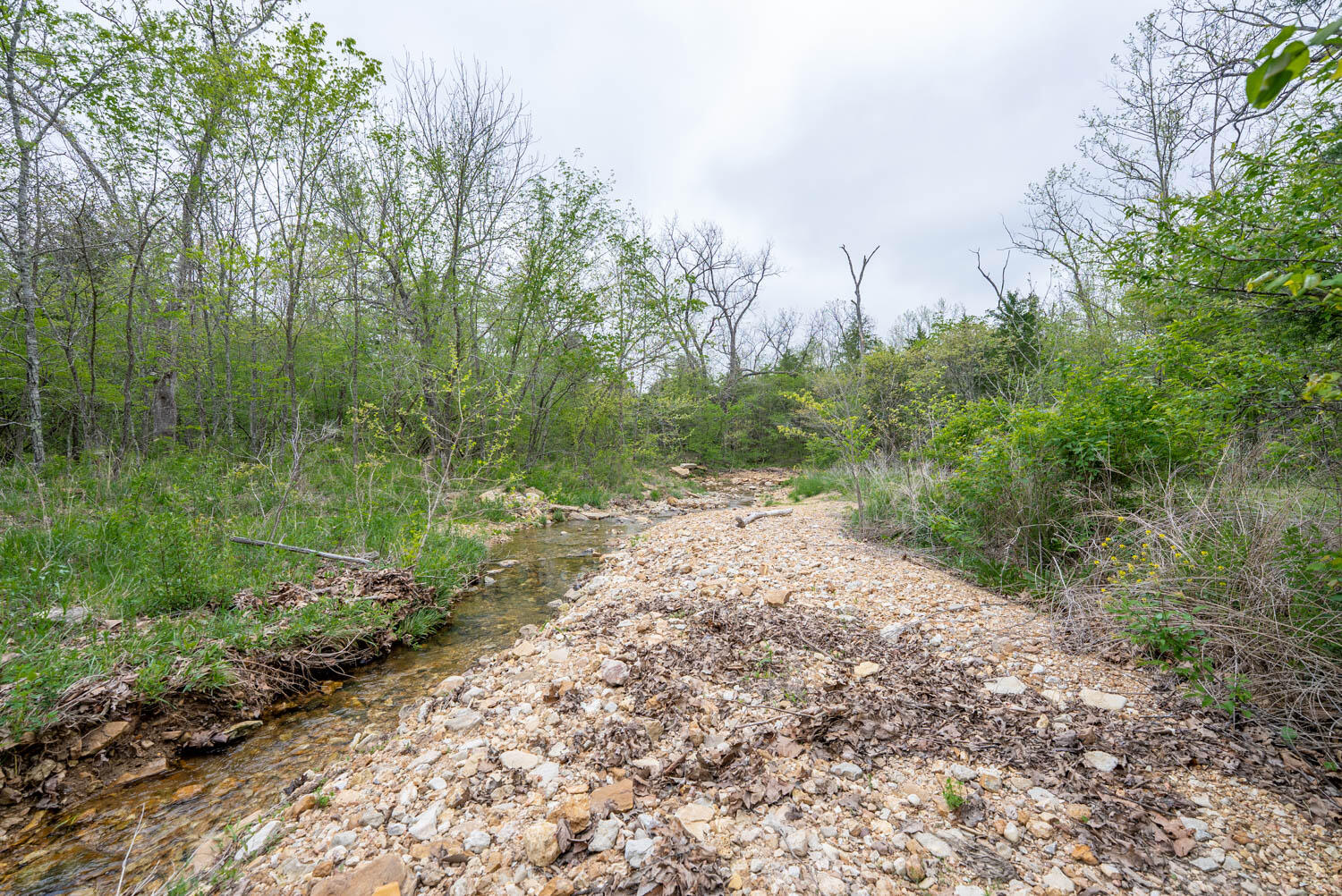 Photo 12 - Land for sale – 000  Crooked Creek Road  Hartville, MO