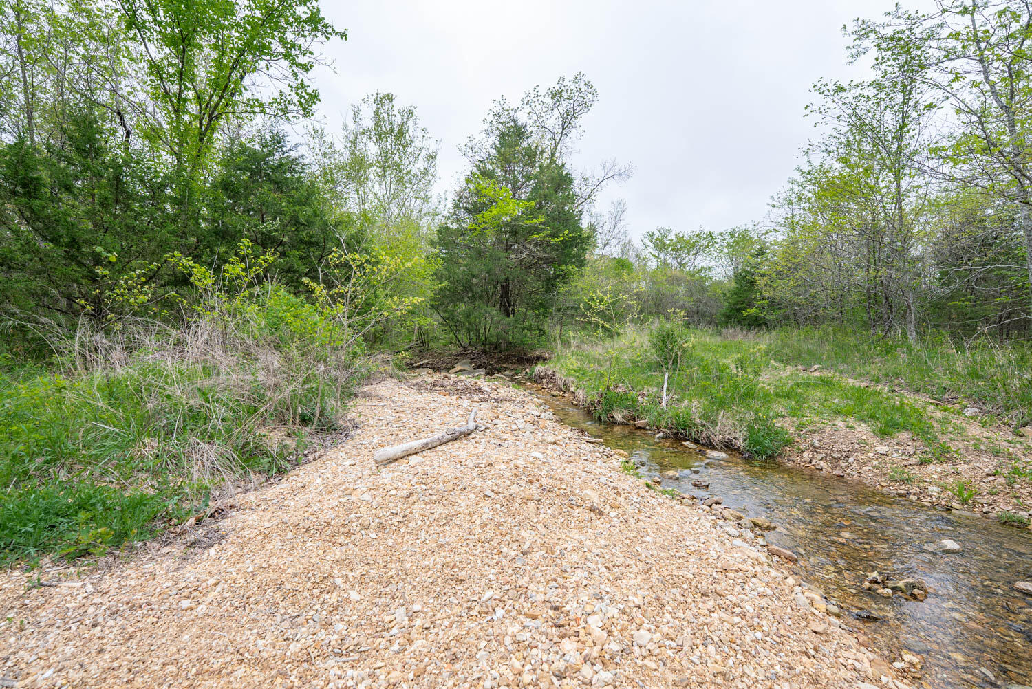 Photo 13 - Land for sale – 000  Crooked Creek Road  Hartville, MO