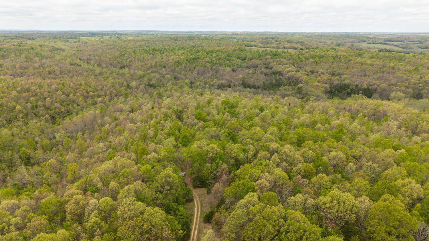 Photo 8 - Land for sale – 000  Crooked Creek Road  Hartville, MO