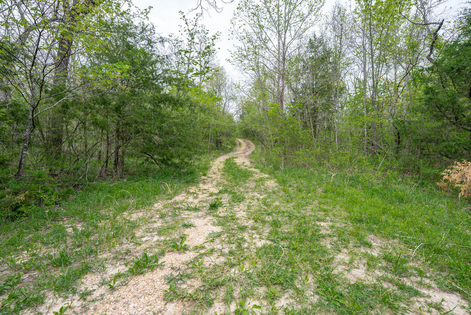 Photo 14 - Land for sale – 000  Crooked Creek Road  Hartville, MO