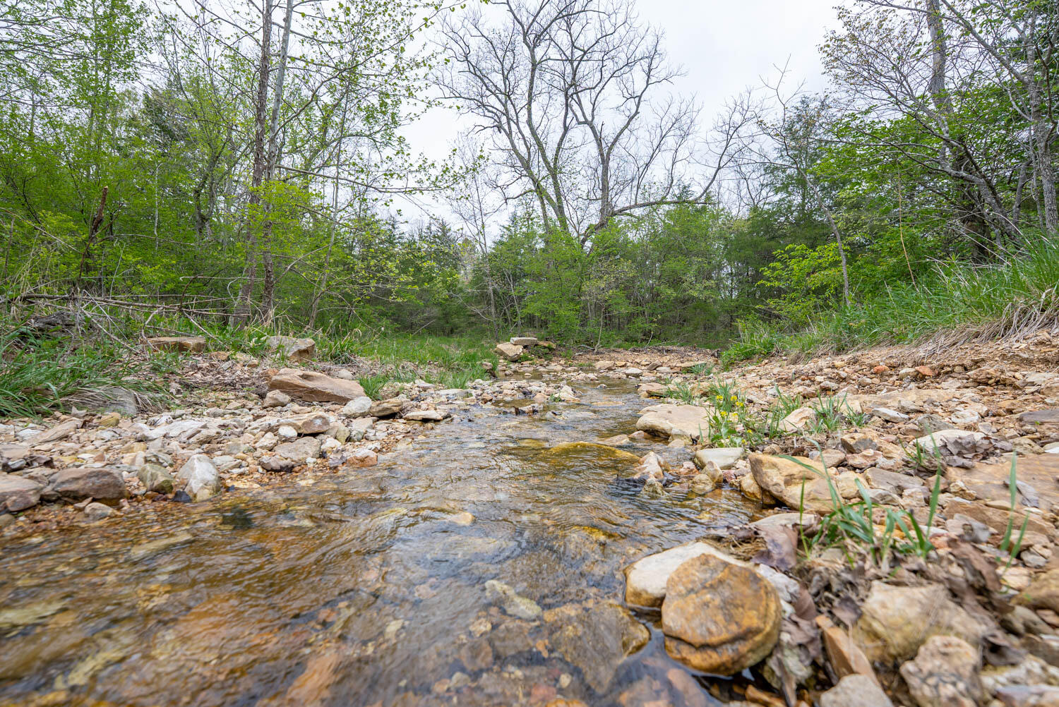 Photo 15 - Land for sale – 000  Crooked Creek Road  Hartville, MO