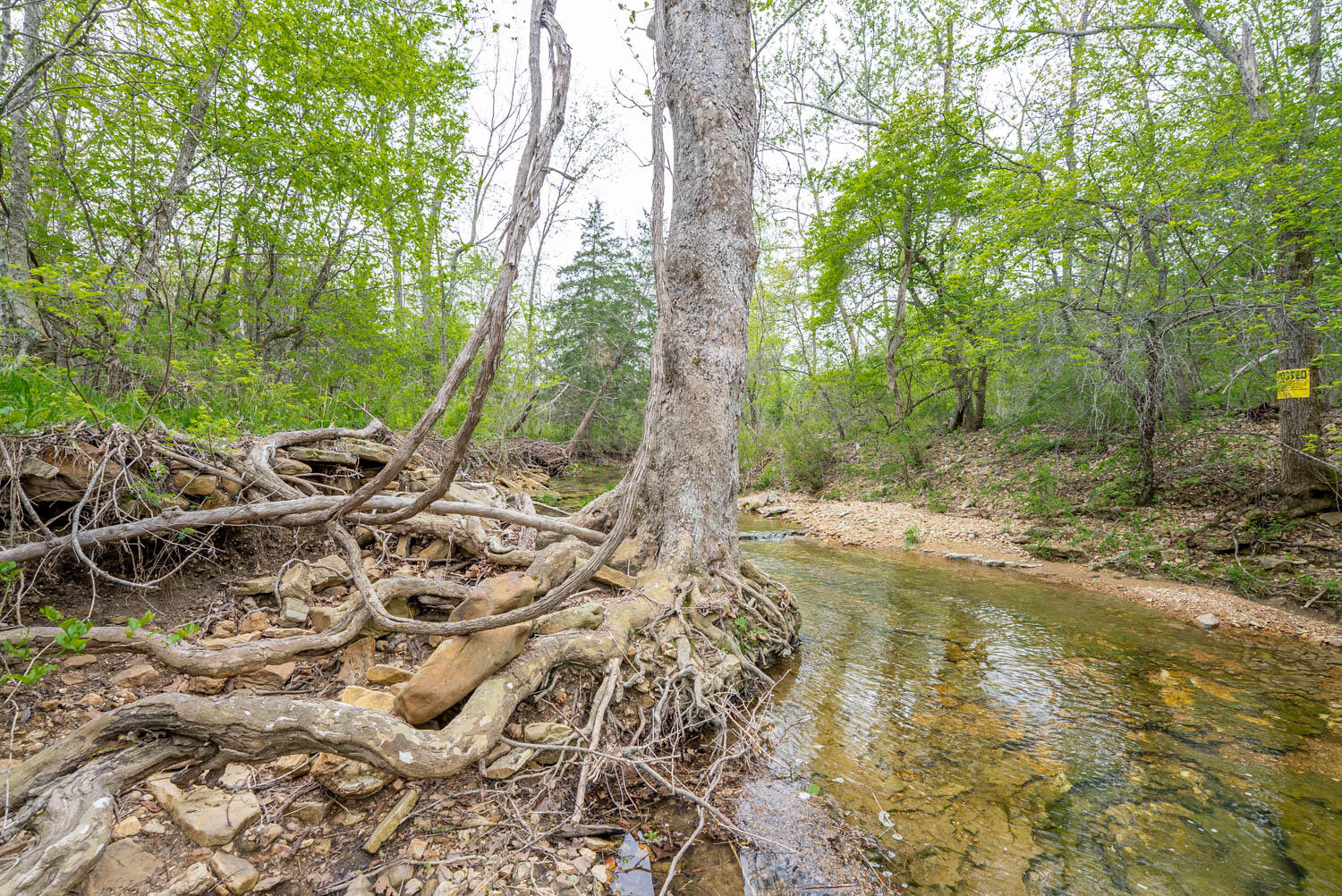Photo 20 - Land for sale – 000  Crooked Creek Road  Hartville, MO