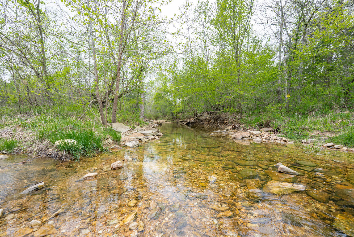 Photo 16 - Land for sale – 000  Crooked Creek Road  Hartville, MO