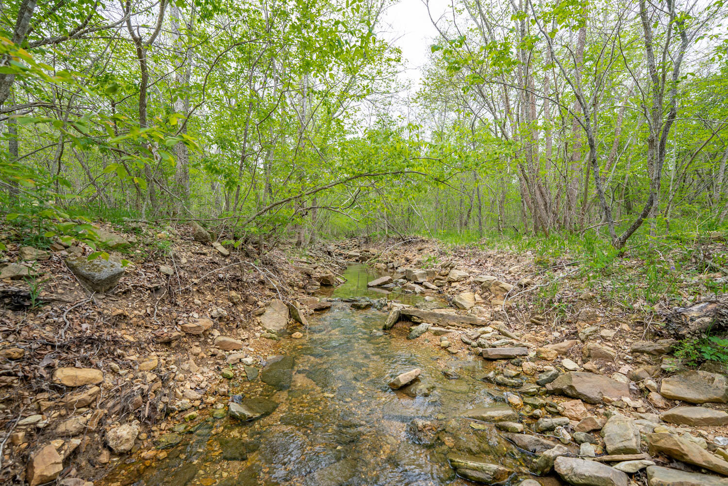 Photo 10 - Land for sale – 000  Crooked Creek Road  Hartville, MO