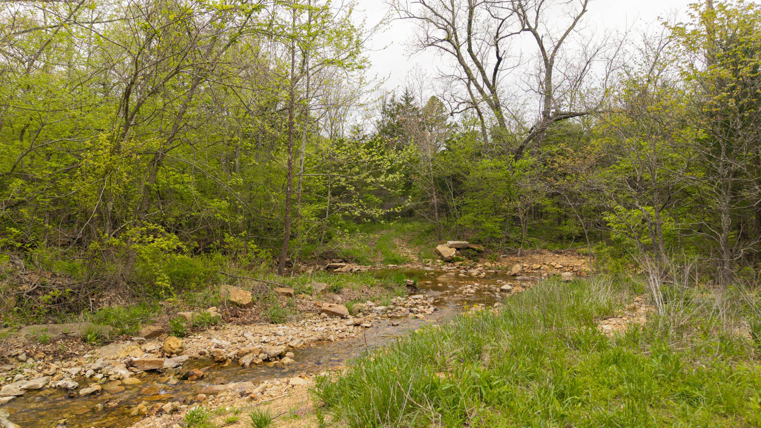 Photo 3 - Land for sale – 000  Crooked Creek Road  Hartville, MO