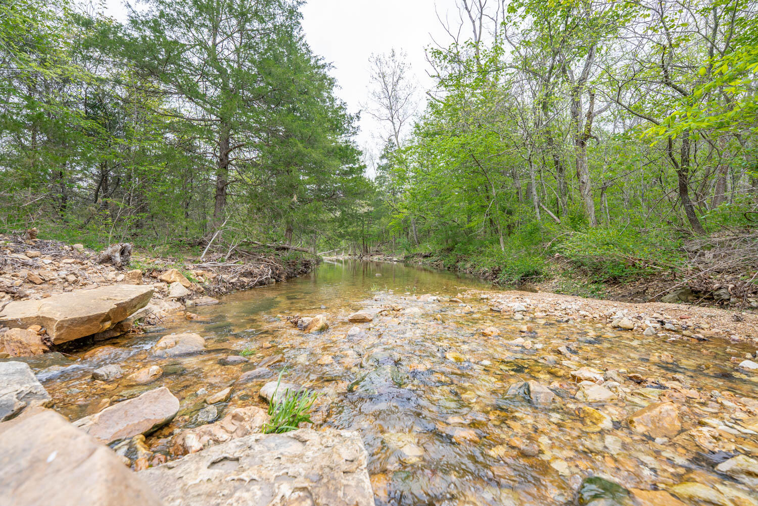 Photo 17 - Land for sale – 000  Crooked Creek Road  Hartville, MO