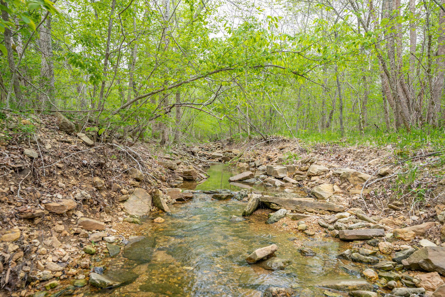 Photo 11 - Land for sale – 000  Crooked Creek Road  Hartville, MO