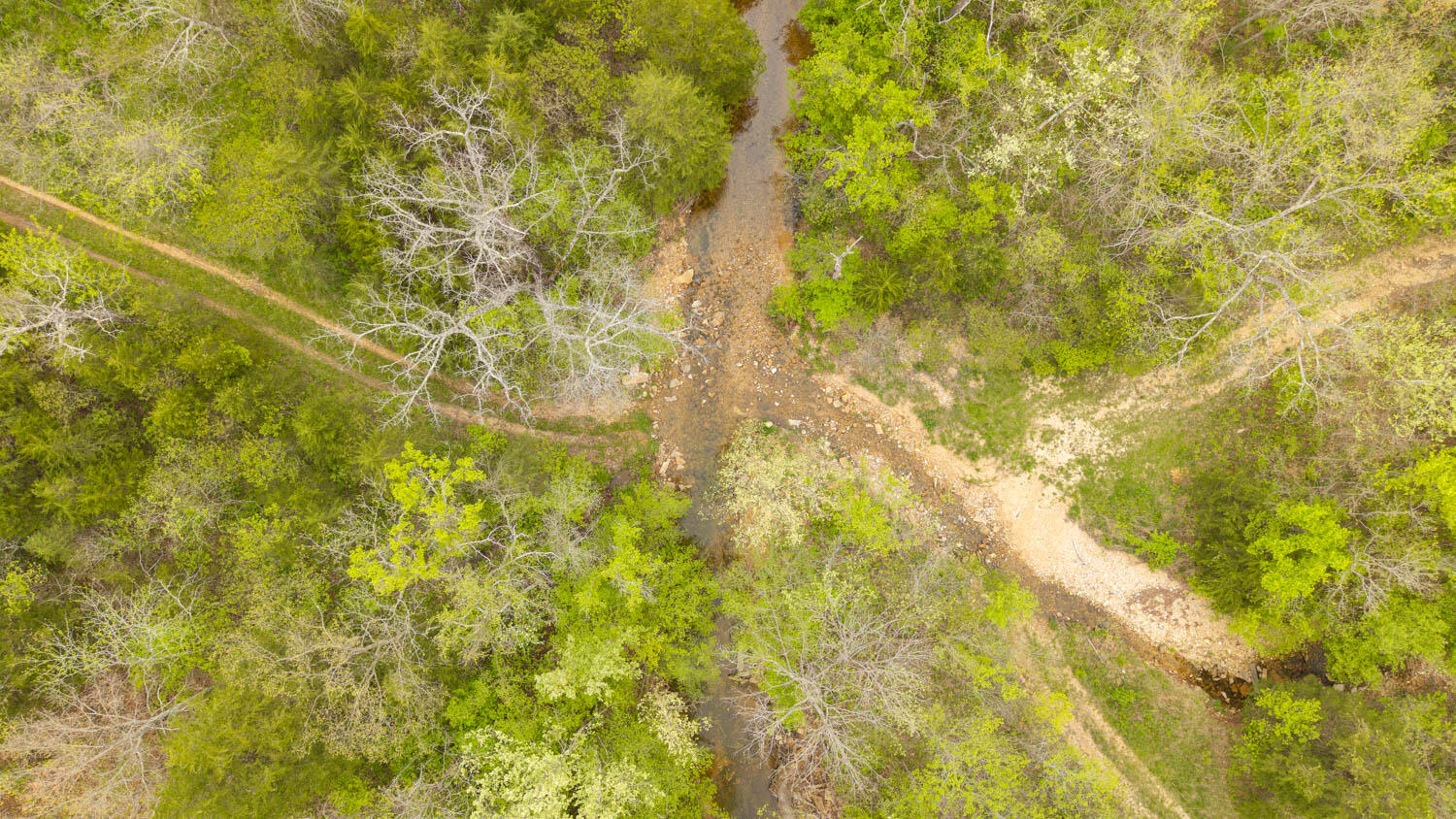 Photo 4 - Land for sale – 000  Crooked Creek Road  Hartville, MO