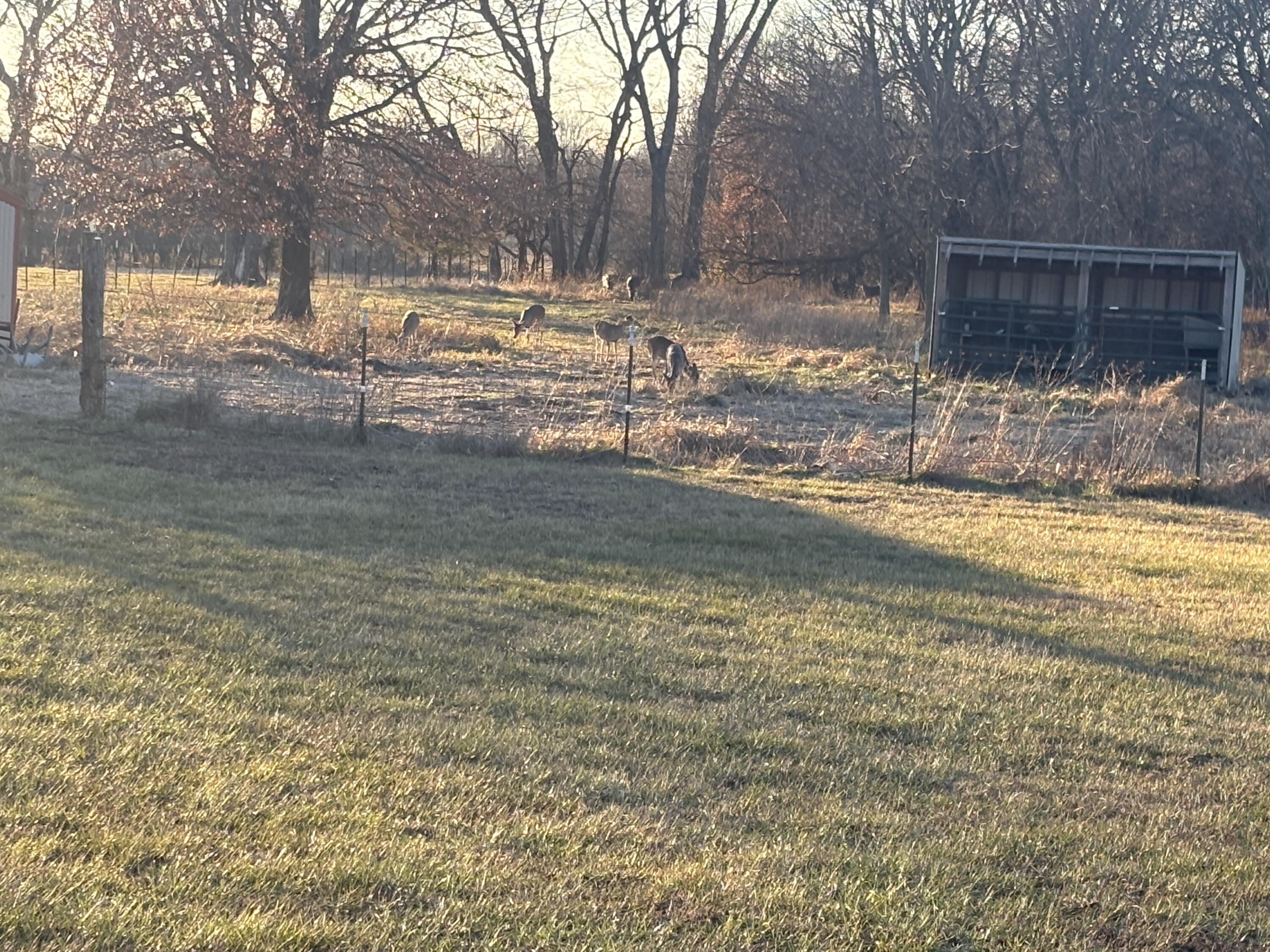 Photo 31 - Residential for sale – 8903 N State Highway Z   Willard, MO