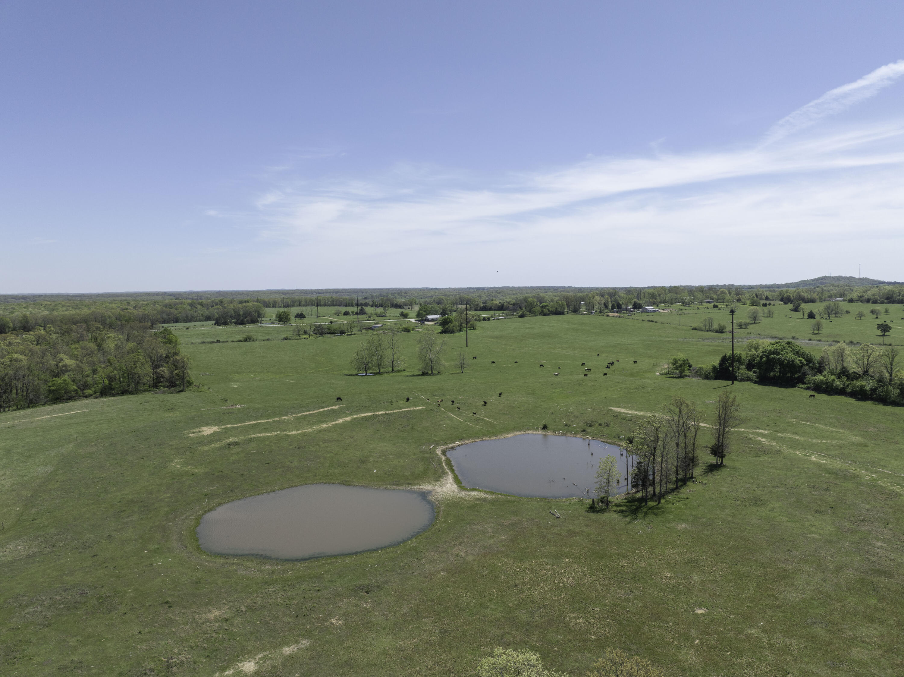 Photo 56 - Farm for sale – 2437  State Highway Y   Norwood, MO