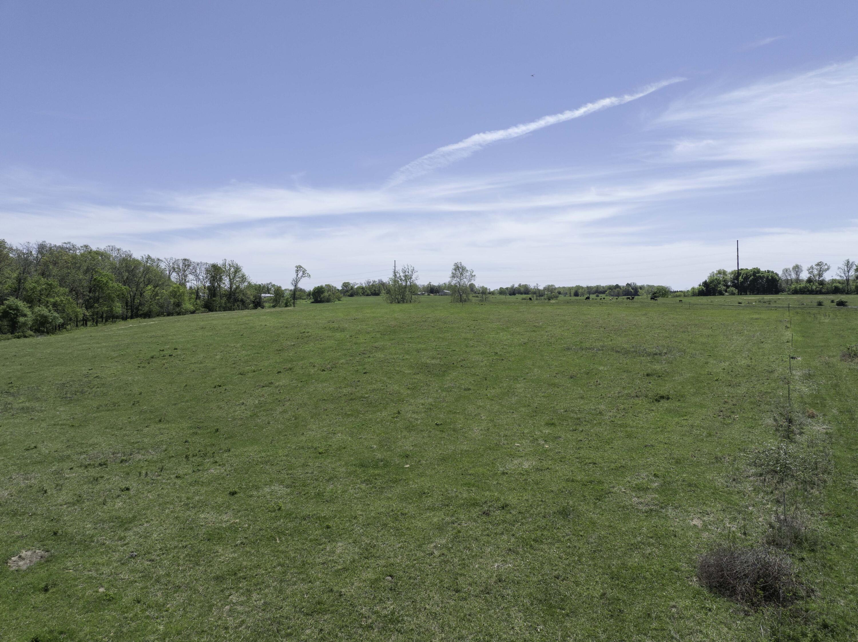 Photo 54 - Farm for sale – 2437  State Highway Y   Norwood, MO