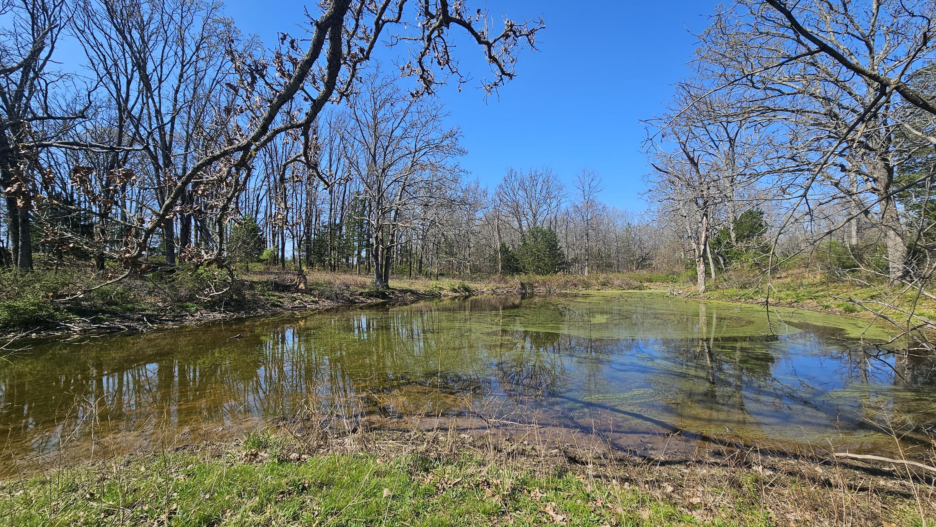 Photo 19 - Farm for sale – 2437  State Highway Y   Norwood, MO