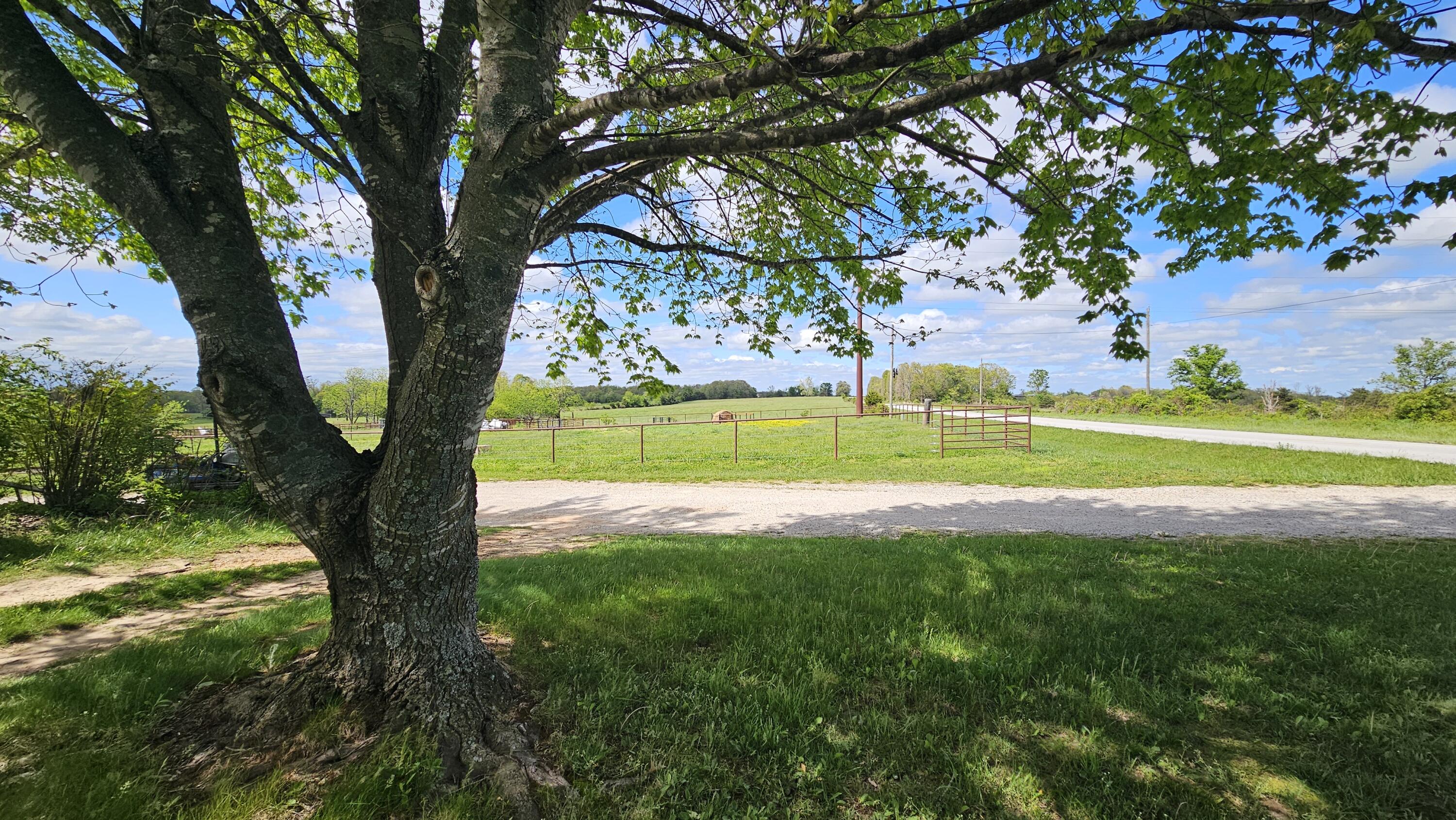 Photo 8 - Farm for sale – 2437  State Highway Y   Norwood, MO