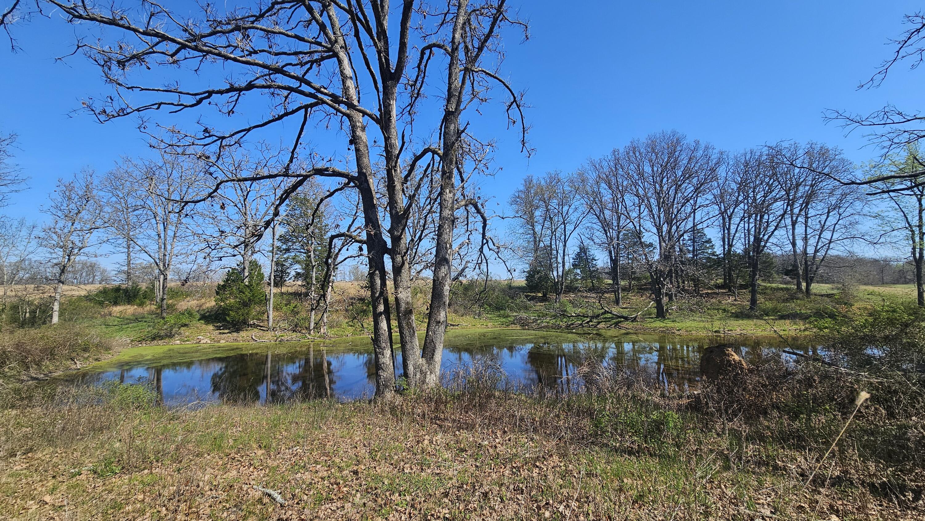 Photo 51 - Residential for sale – 2437  State Highway Y   Norwood, MO