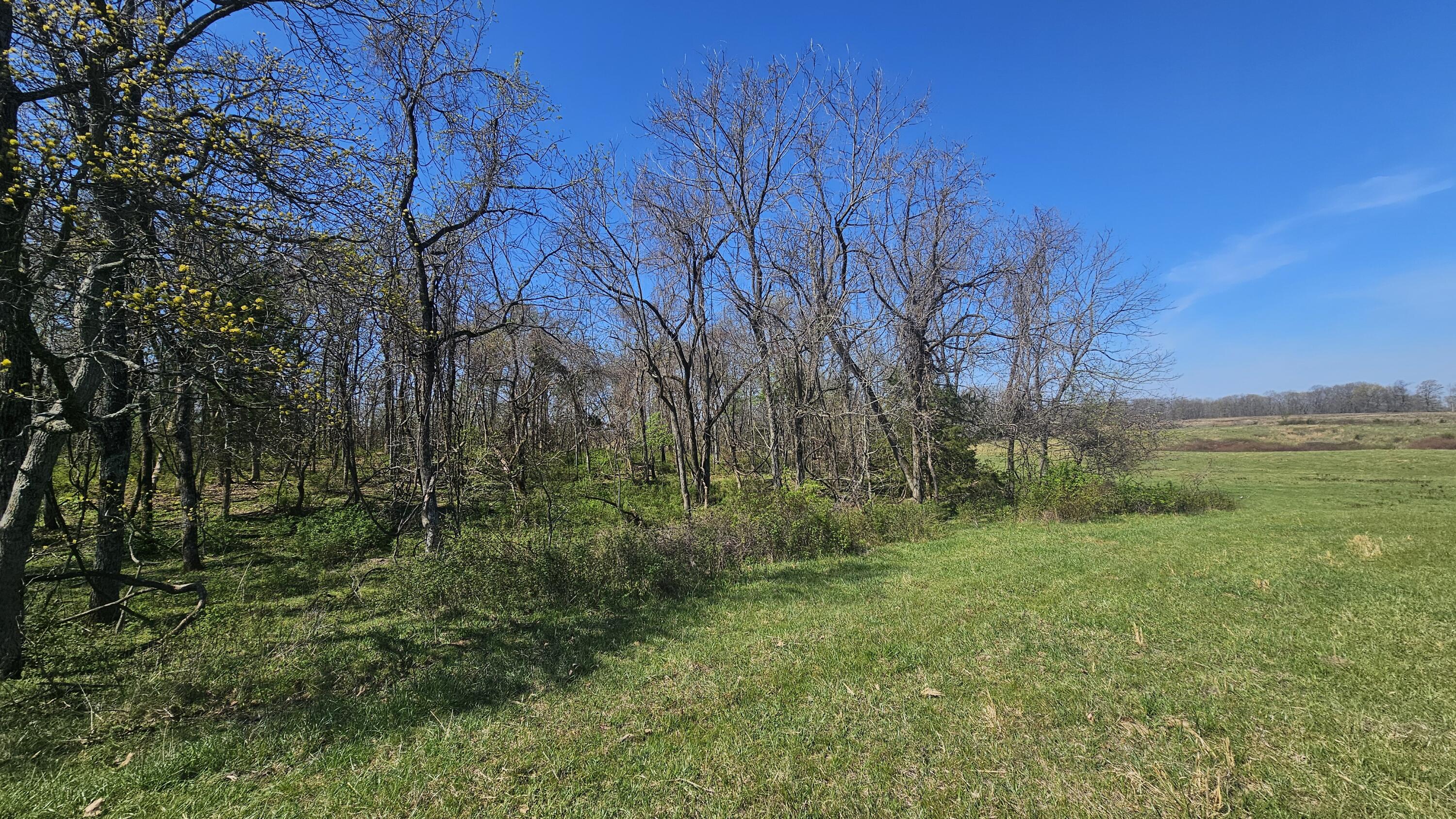 Photo 52 - Residential for sale – 2437  State Highway Y   Norwood, MO