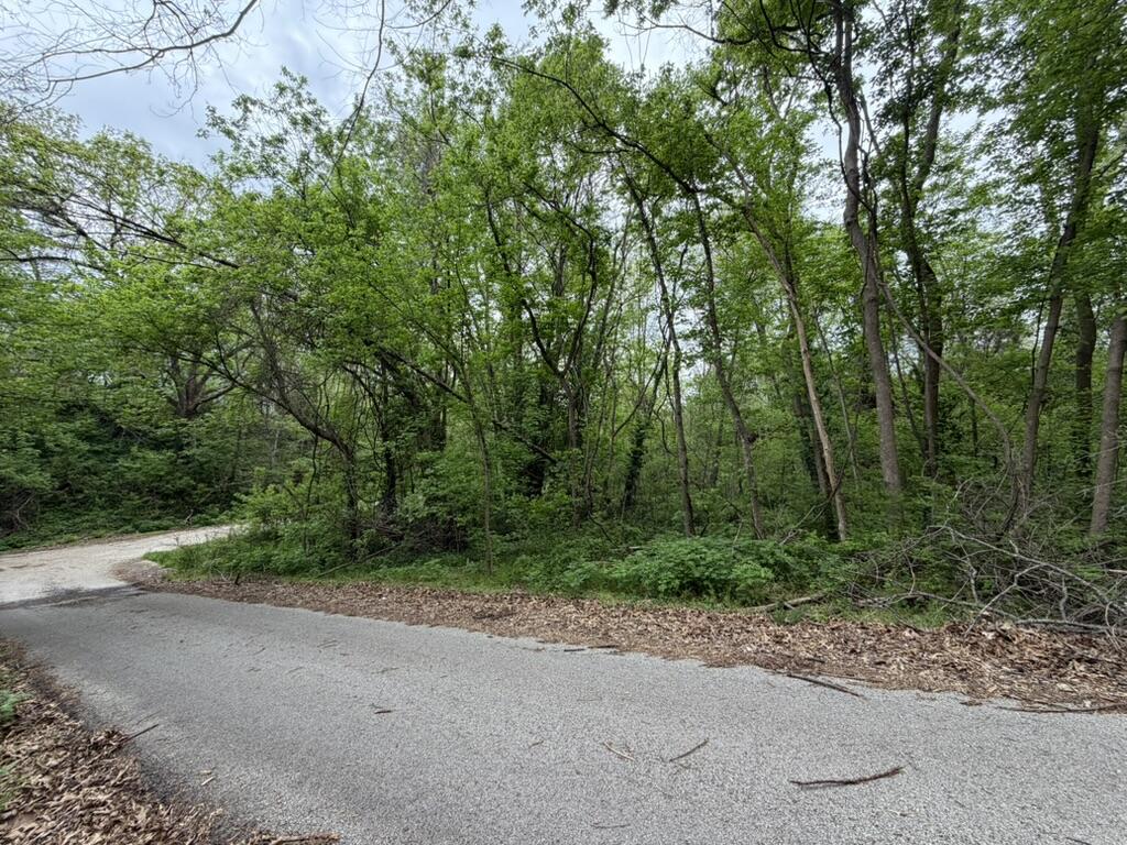 Photo 5 - Land for sale – 000  Eureka Avenue  Seligman, MO