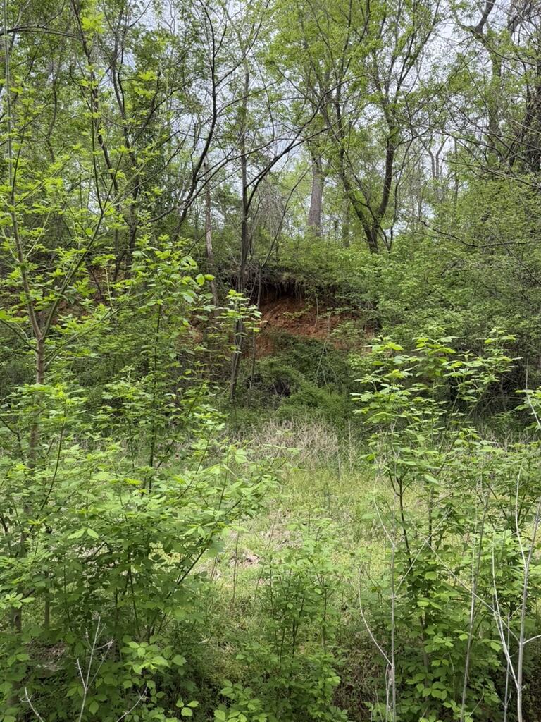 Photo 8 - Land for sale – 000  Eureka Avenue  Seligman, MO