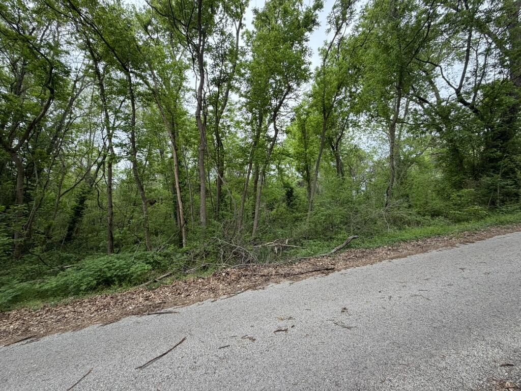 Photo 6 - Land for sale – 000  Eureka Avenue  Seligman, MO