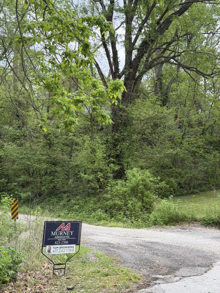Photo 13 - Land for sale – 000  Eureka Avenue  Seligman, MO